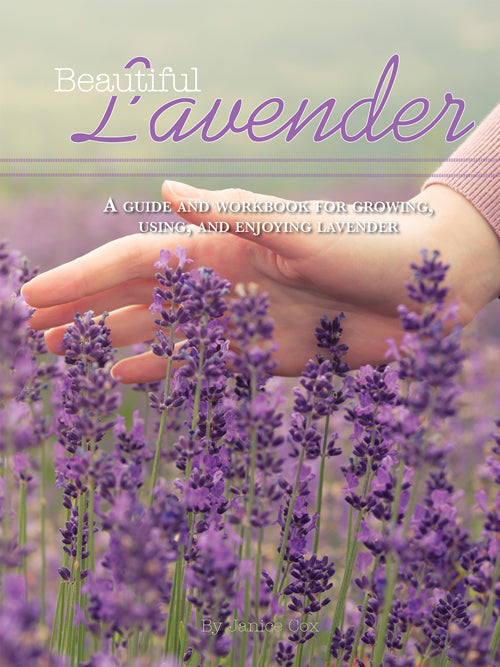 SCHÖNER LAVENDEL