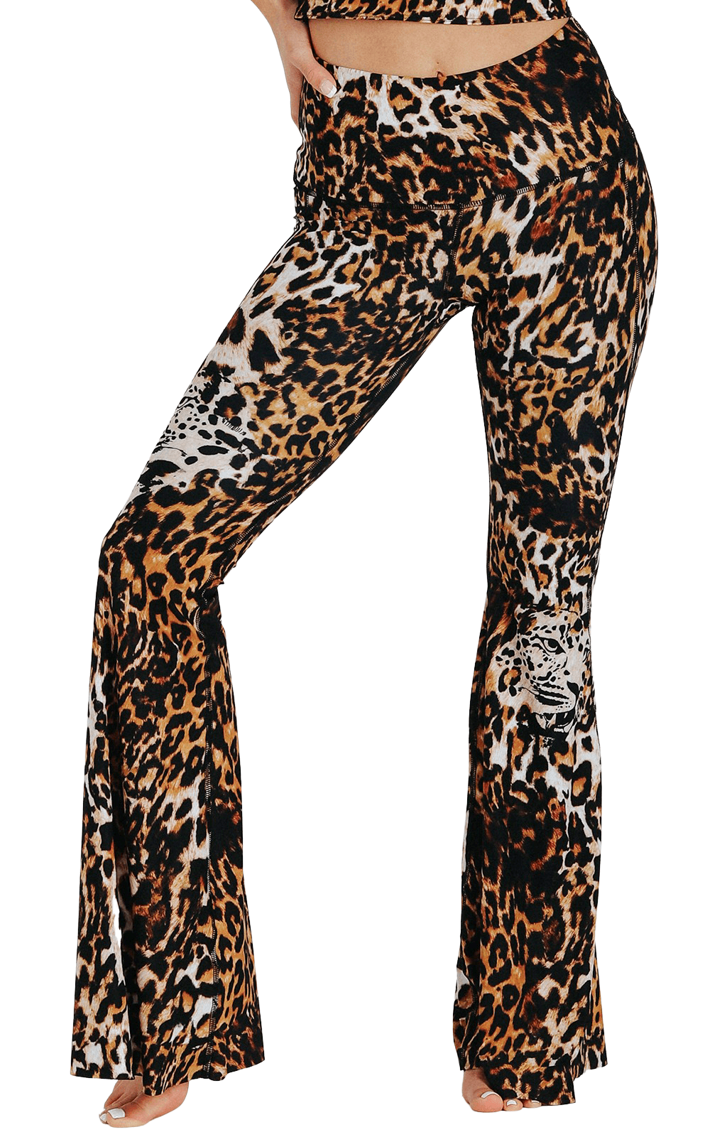 Pantalones acampanados con estampado de Wildcat