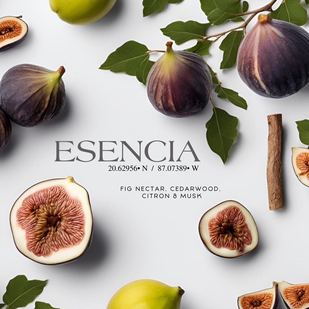 1982 Candle Co.™ Esencia 20° 87° (15 oz Double Wick) - Notes: Fig Nectar, Cedarwood, Citron, Zest, Benzoin & Musk