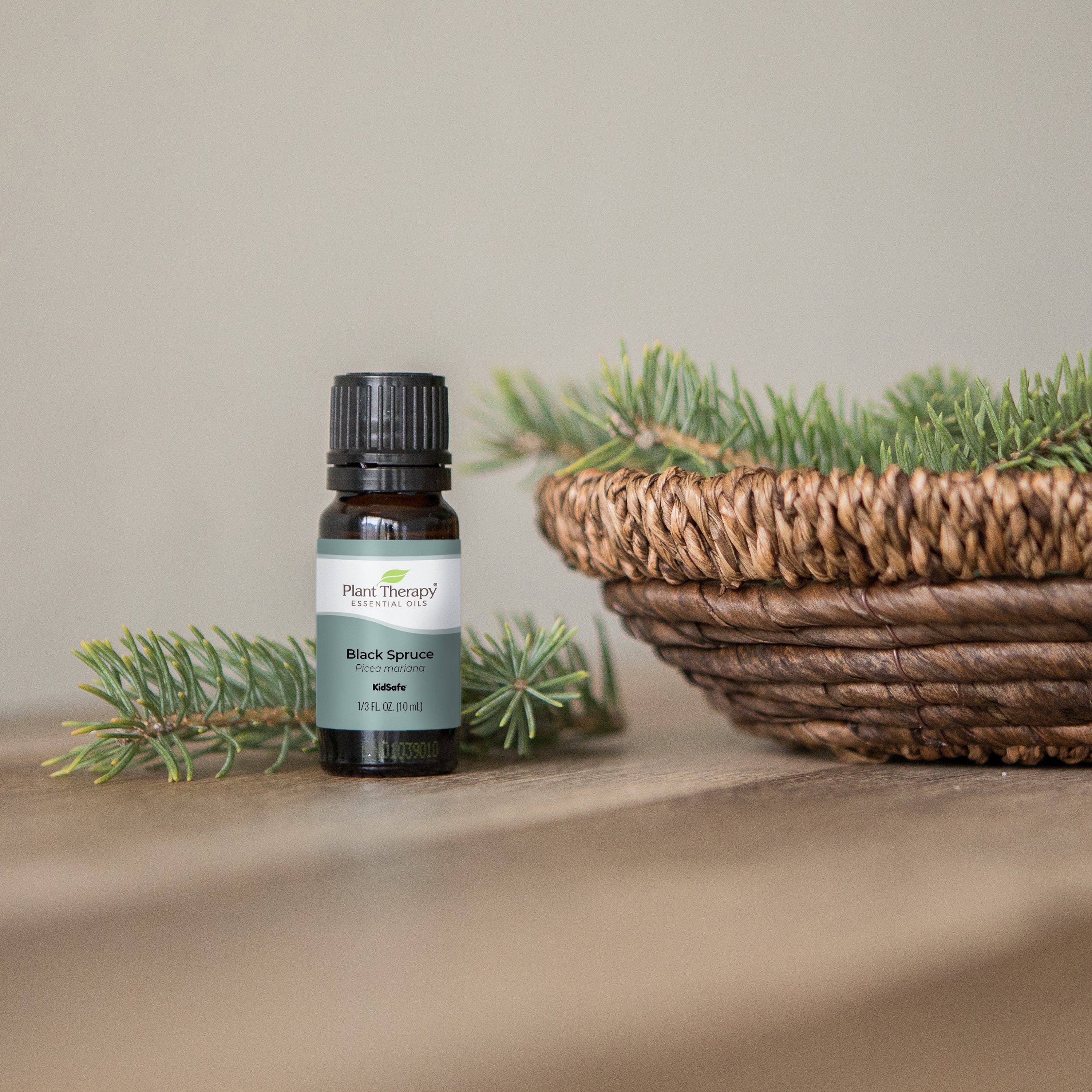 Black Spruce Essential Oil