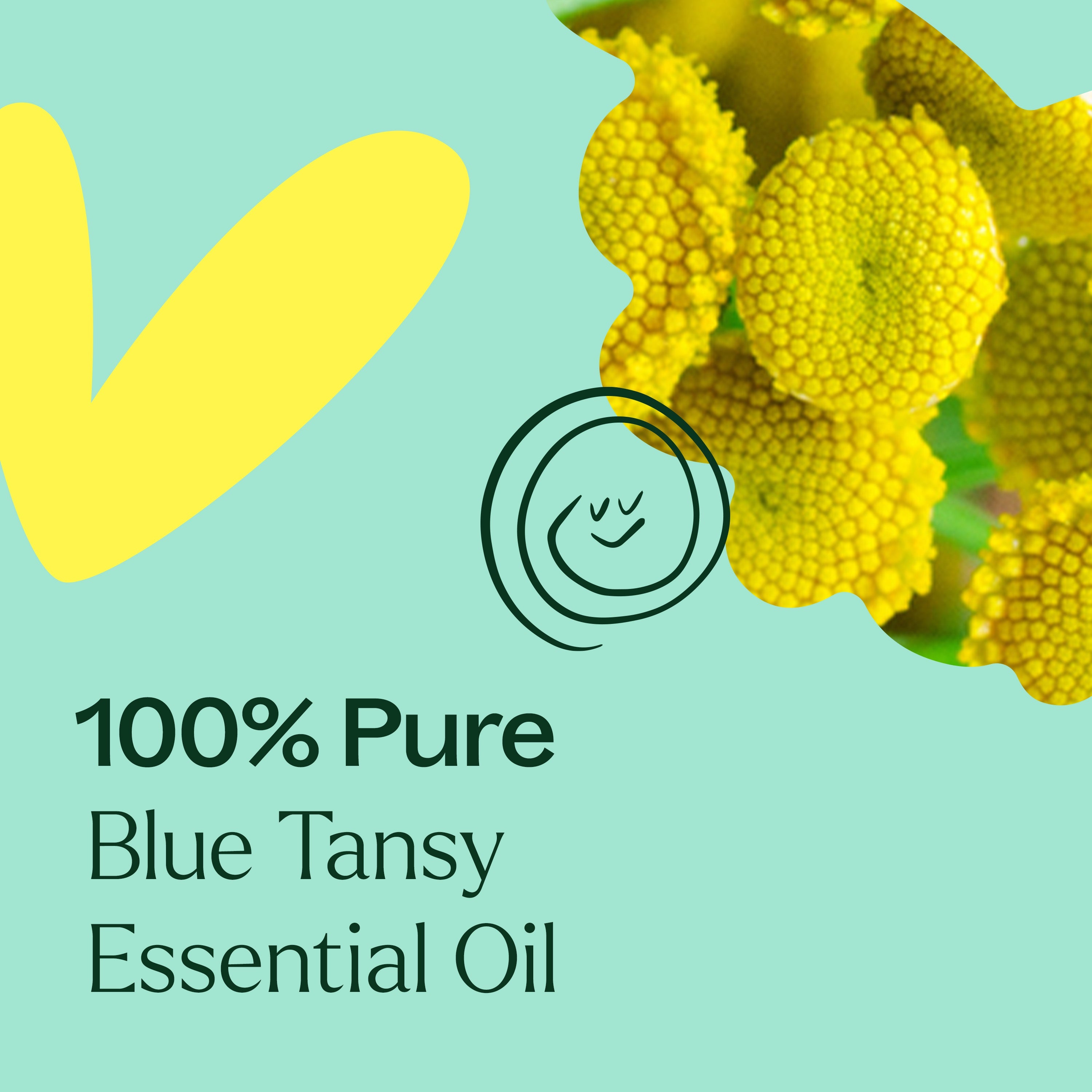 Blue Tansy Essential Oil