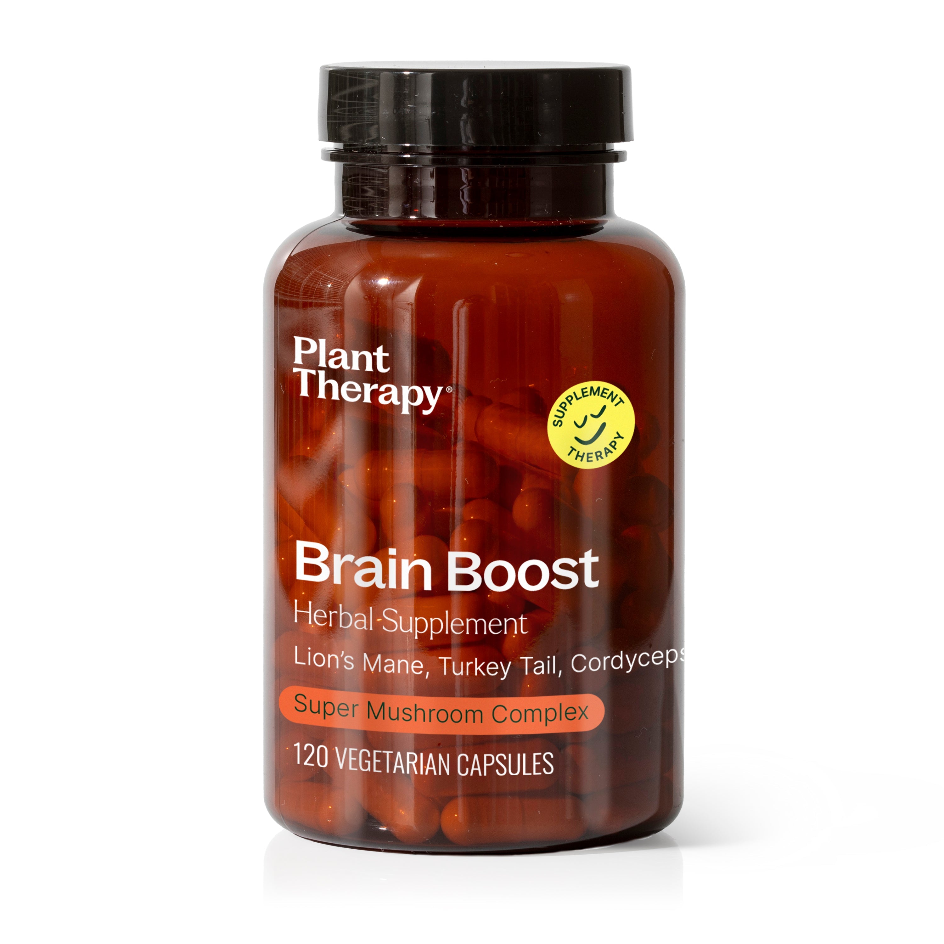 Brain Boost Kräuterergänzung - 120 Kapseln