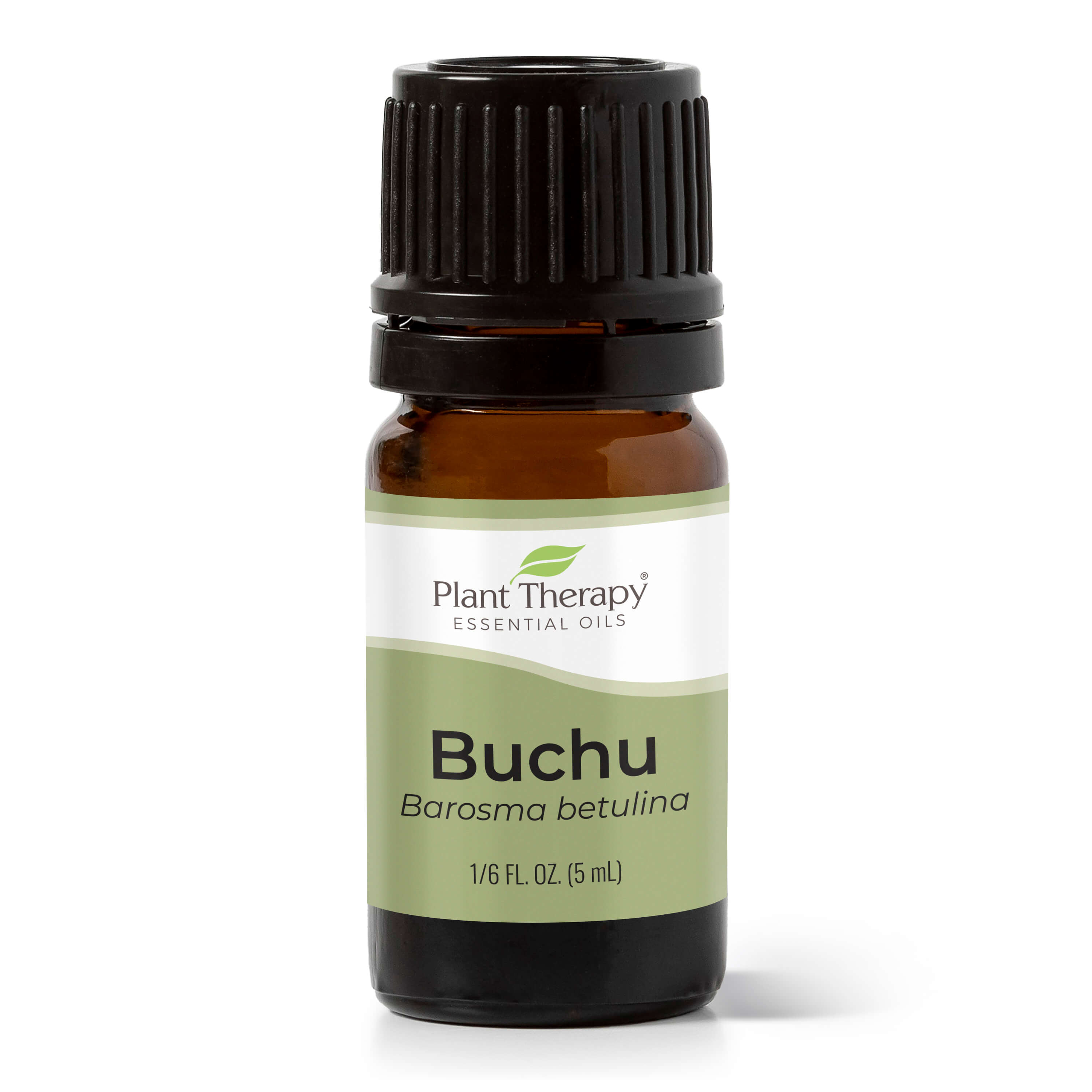 Aceite esencial de buchu