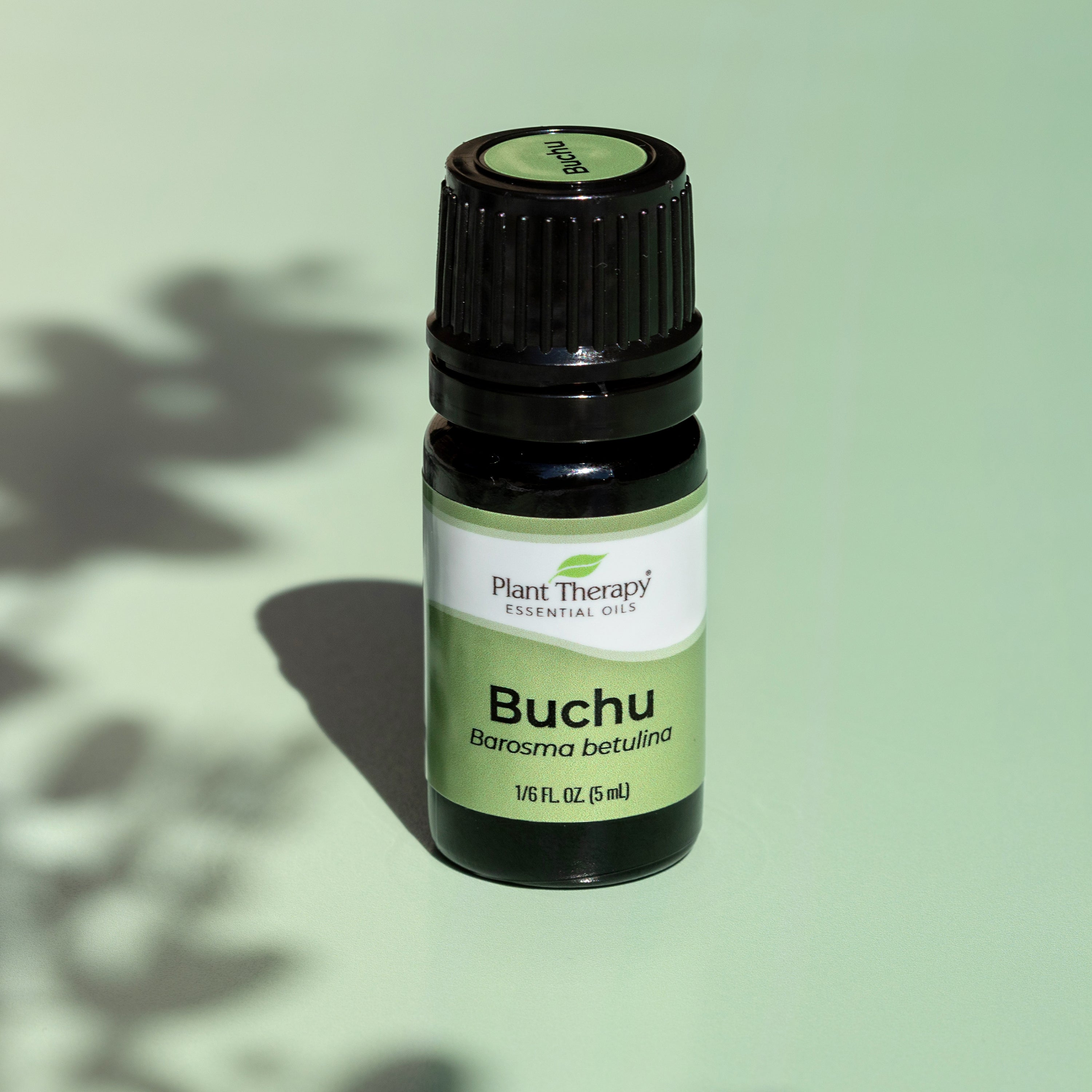 Aceite esencial de buchu