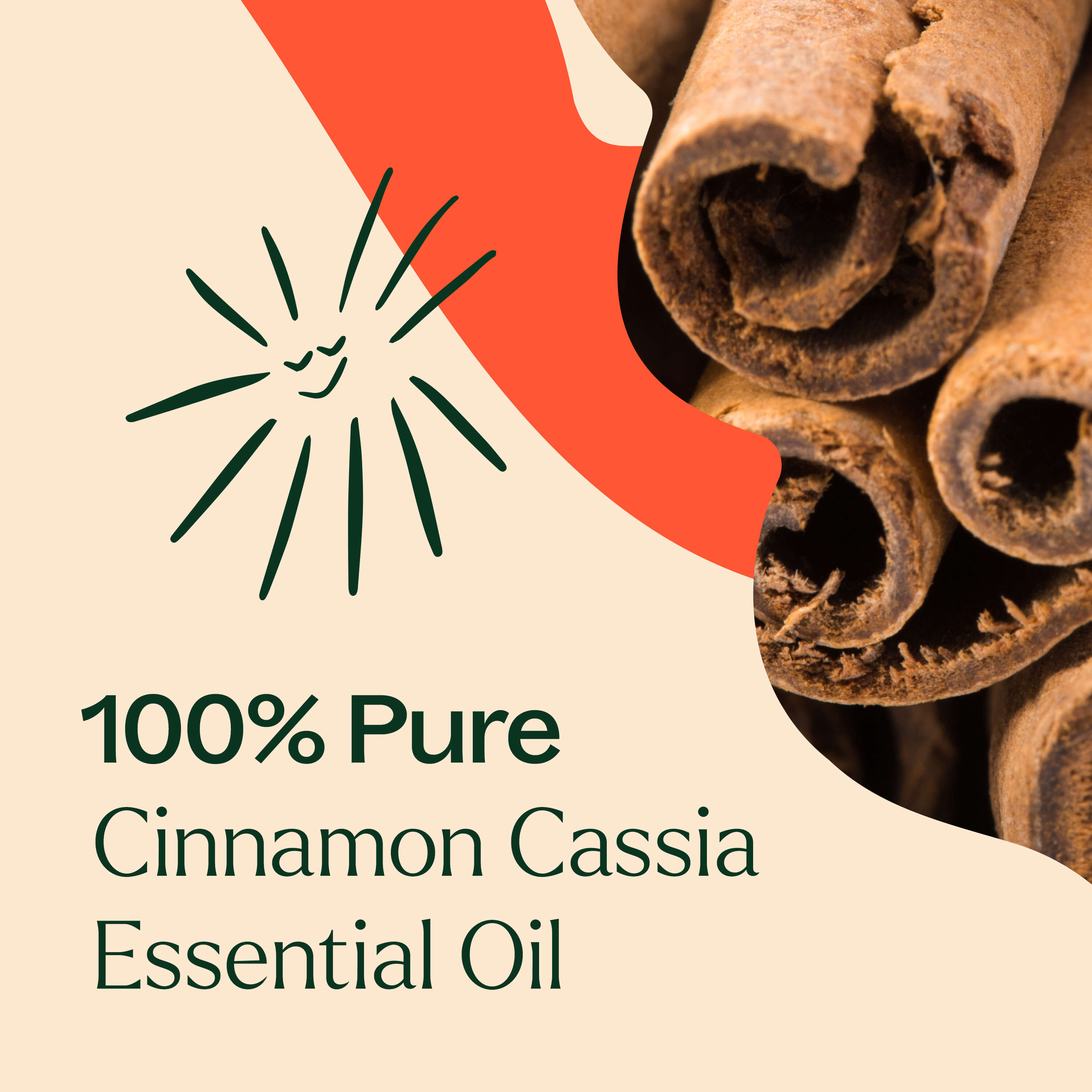 Cinnamon Cassia Essential Oil