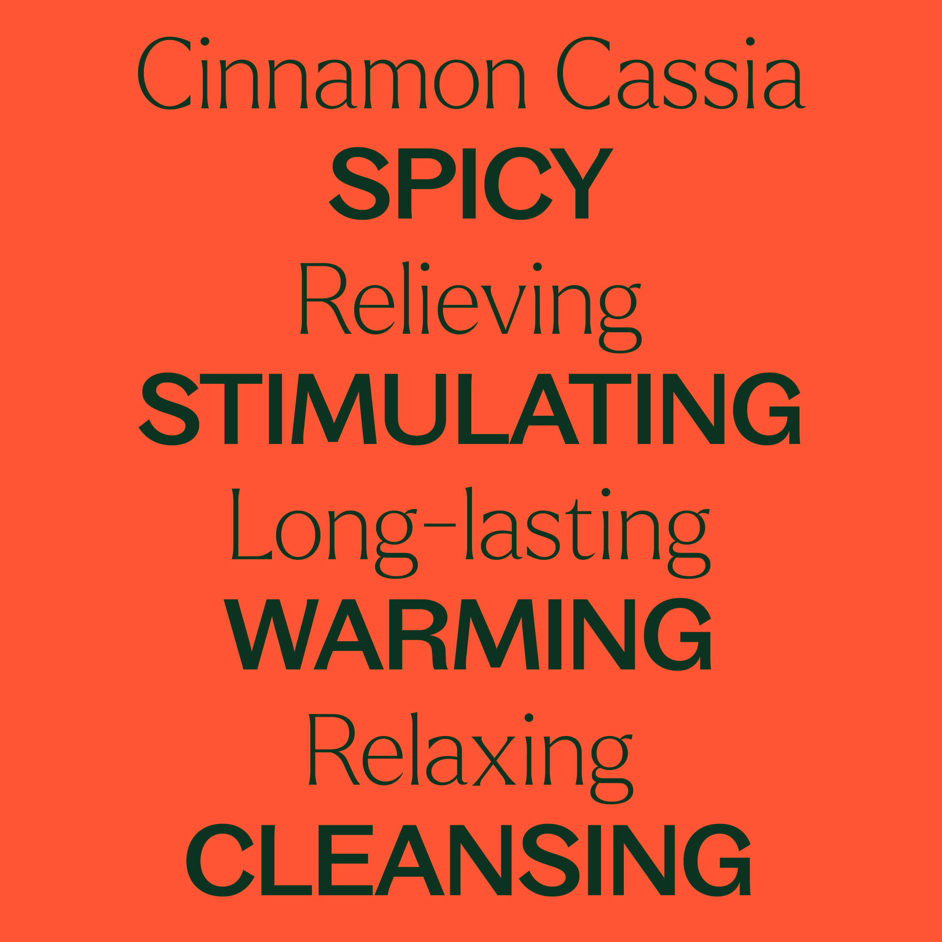 Cinnamon Cassia Essential Oil