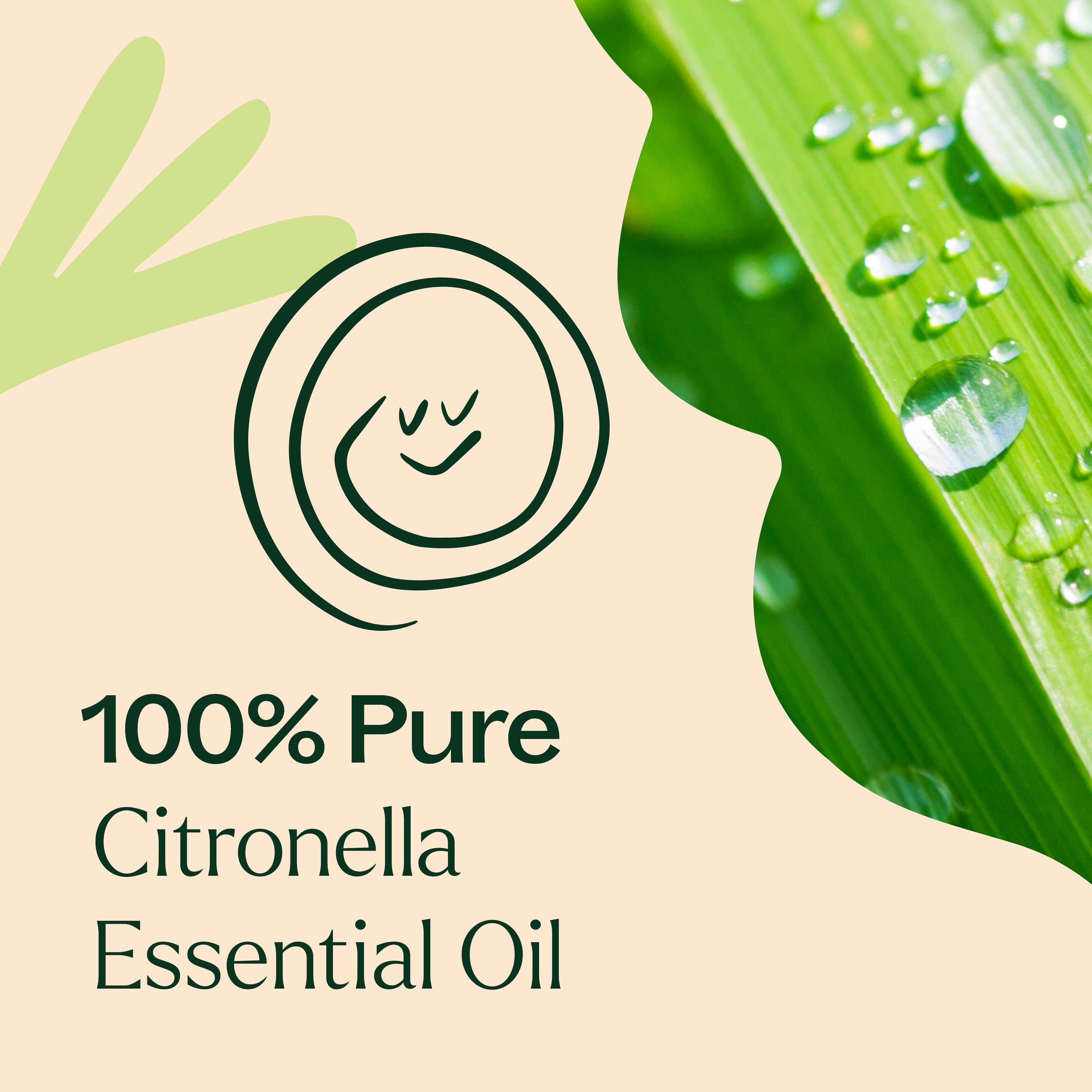 Aceite esencial de citronela