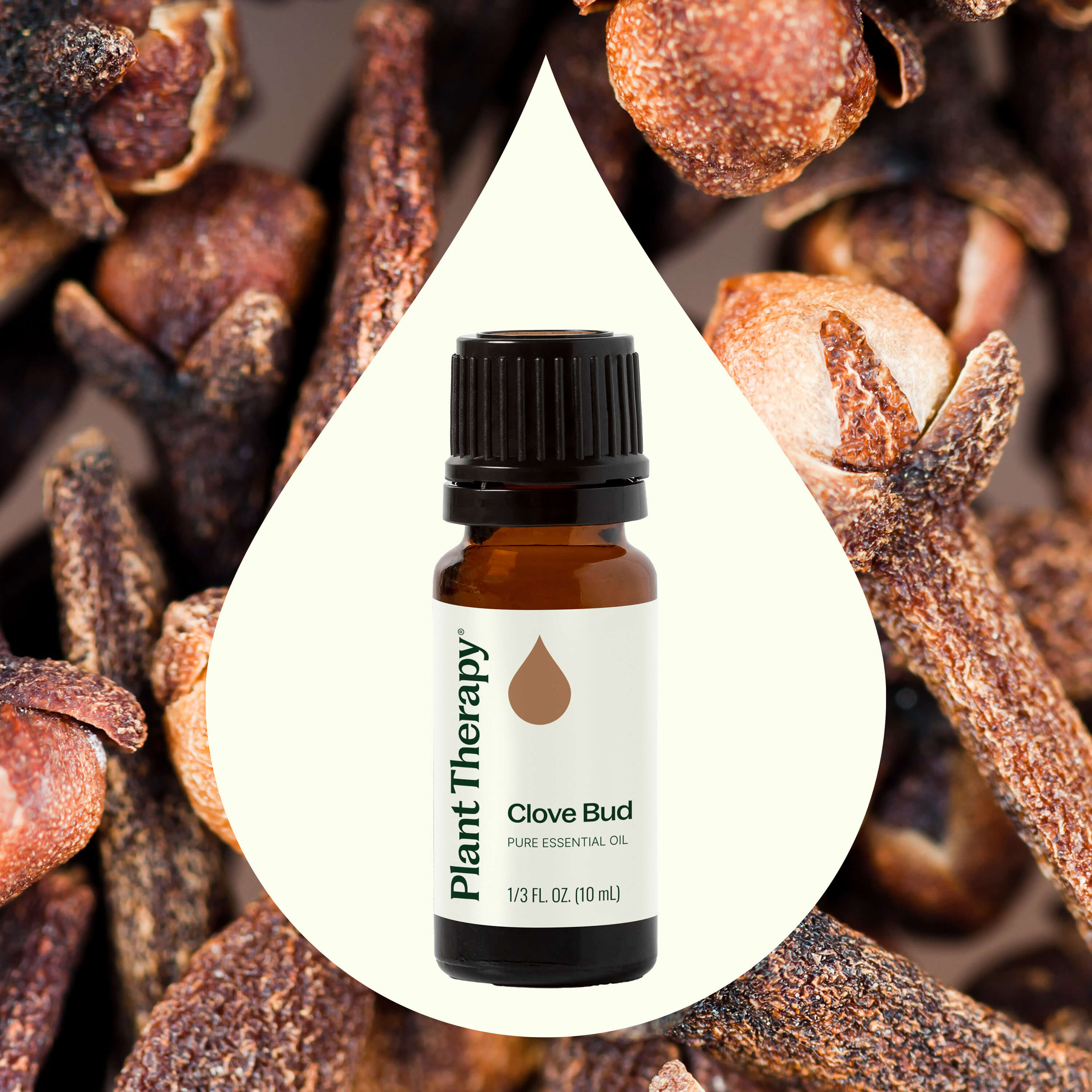 Clove Bud Essential Oil