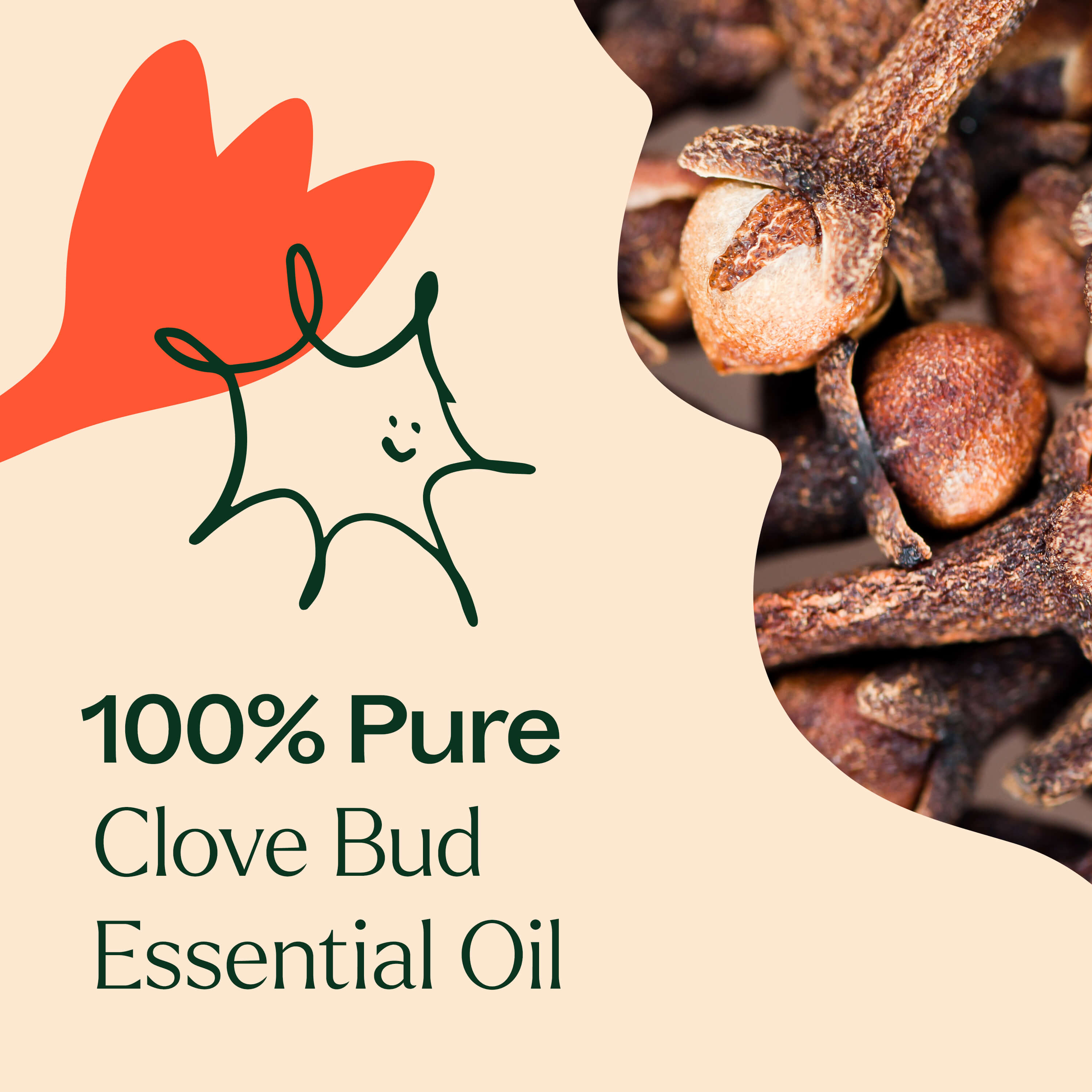 Clove Bud Essential Oil