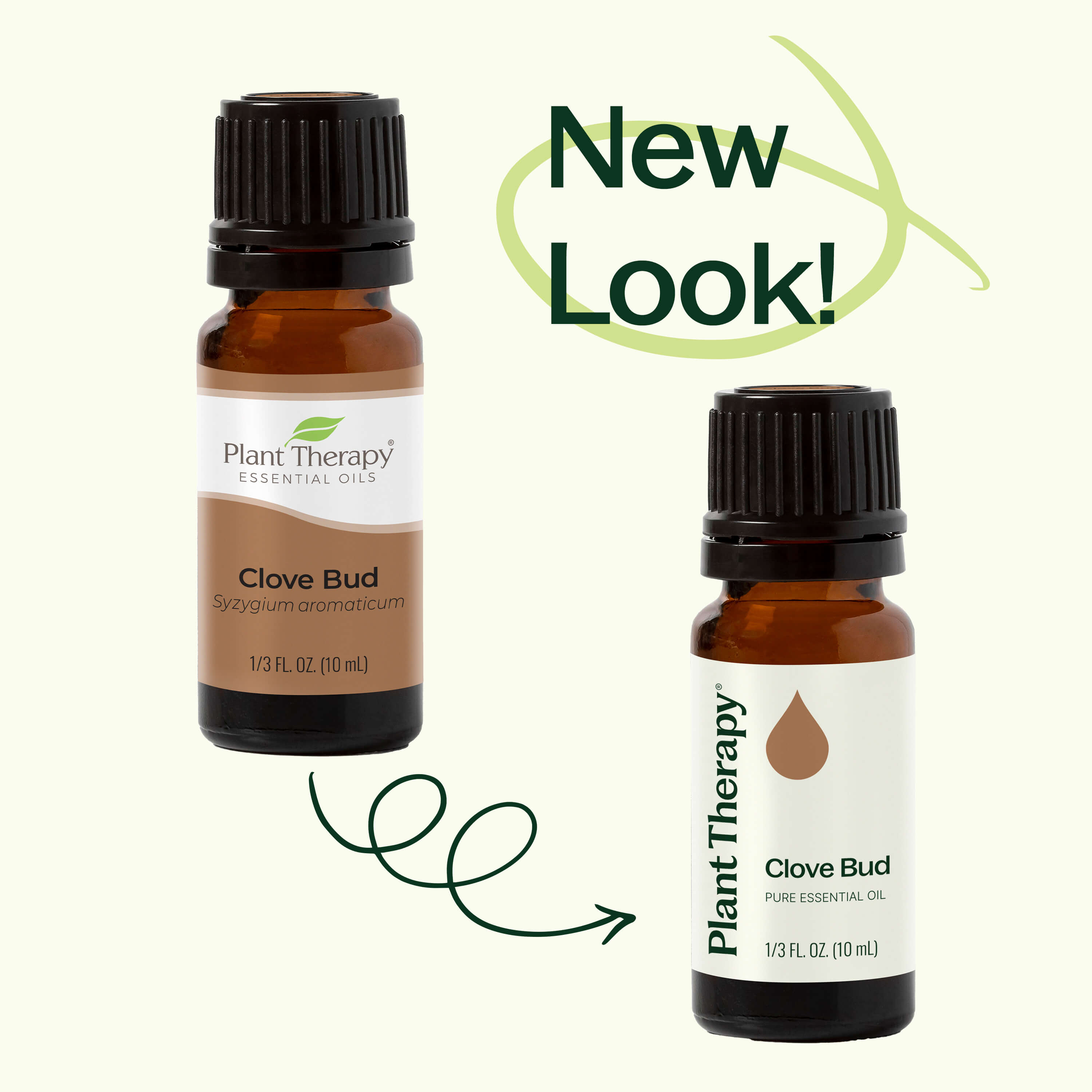 Clove Bud Essential Oil