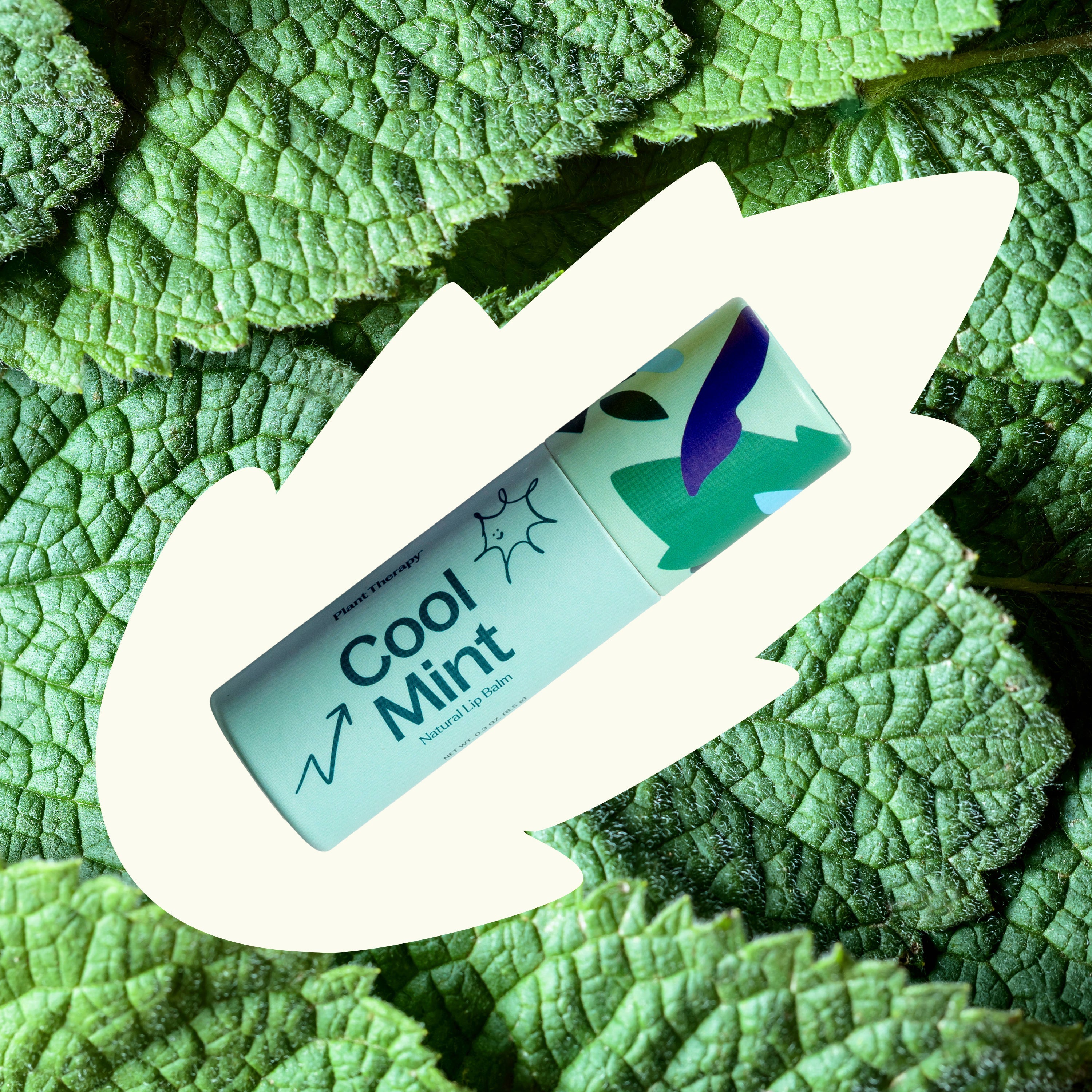 Cool Mint Natural Lip Balm