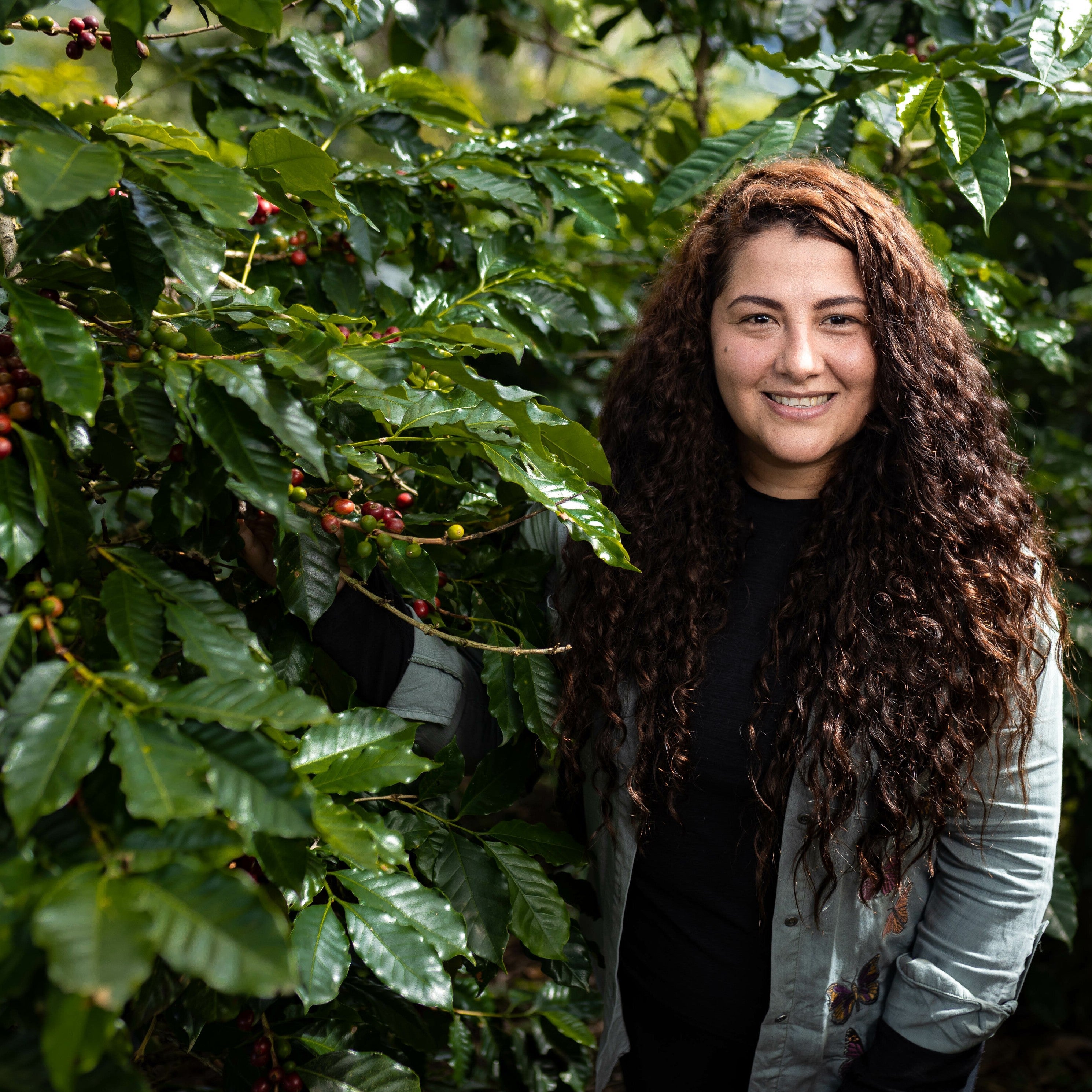 Honduran Bourbon Coffee