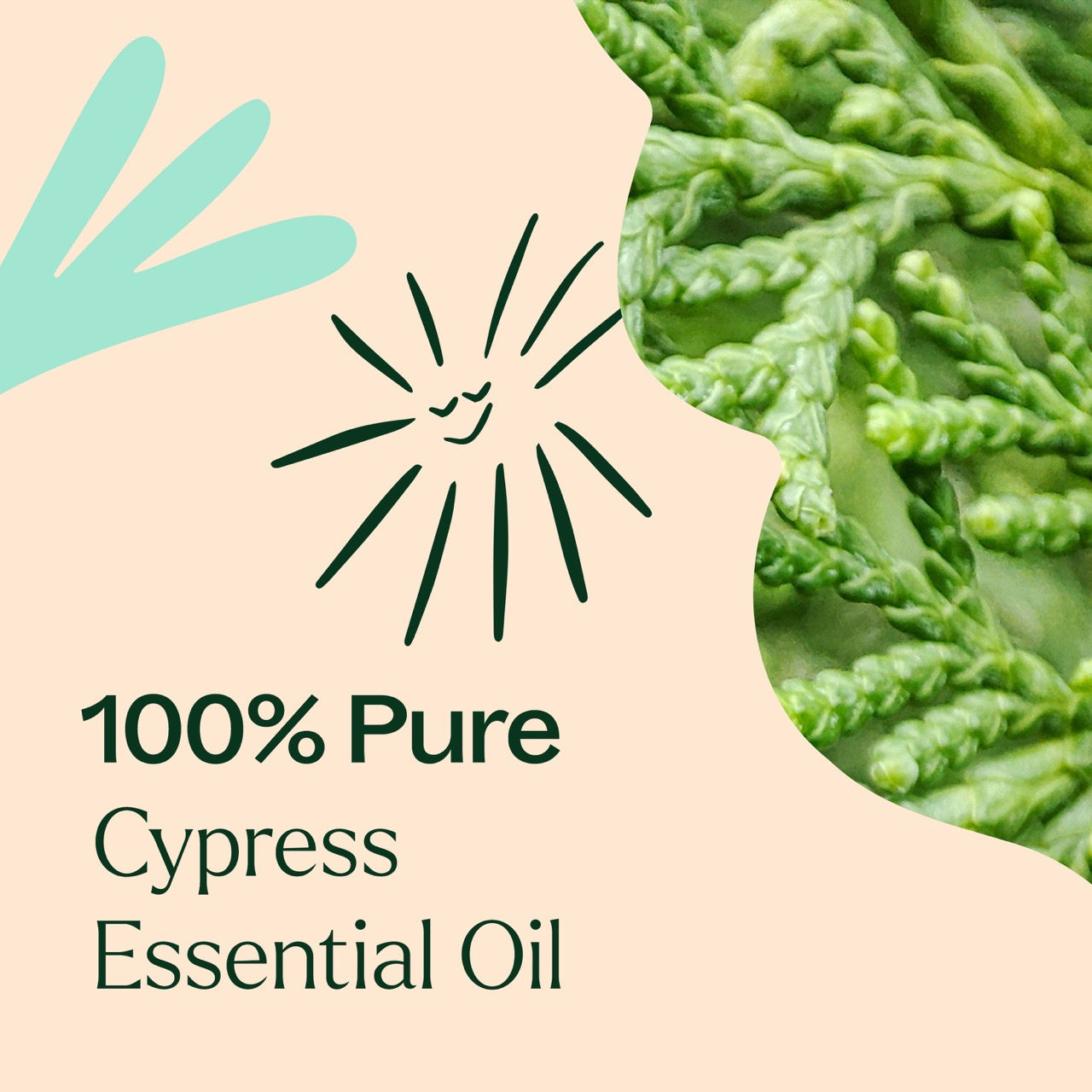 Cypress Essential Oil