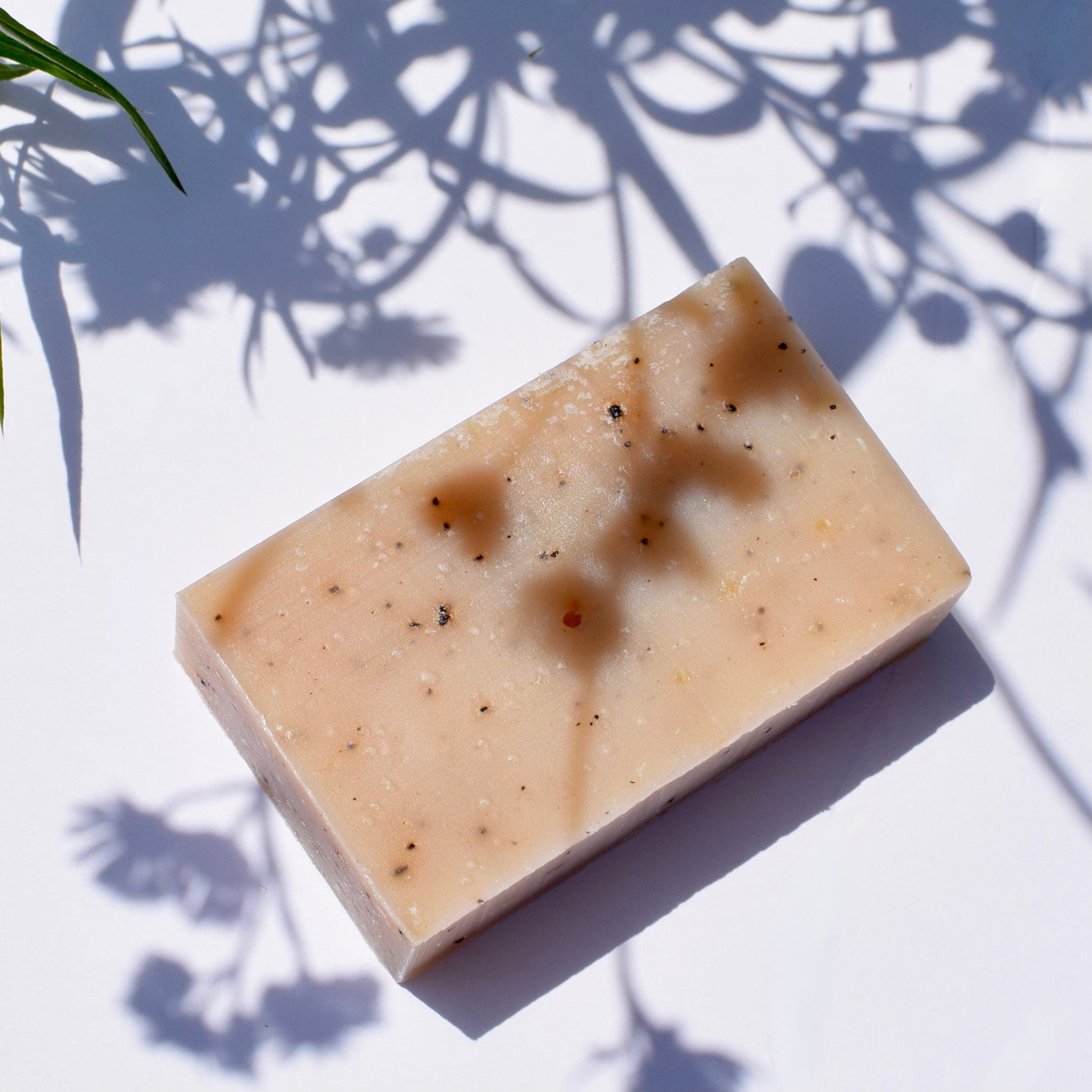 Exfoliating Apricot Kernel and Coffee Soap *Limited Edition*: FAREWELL SALE!