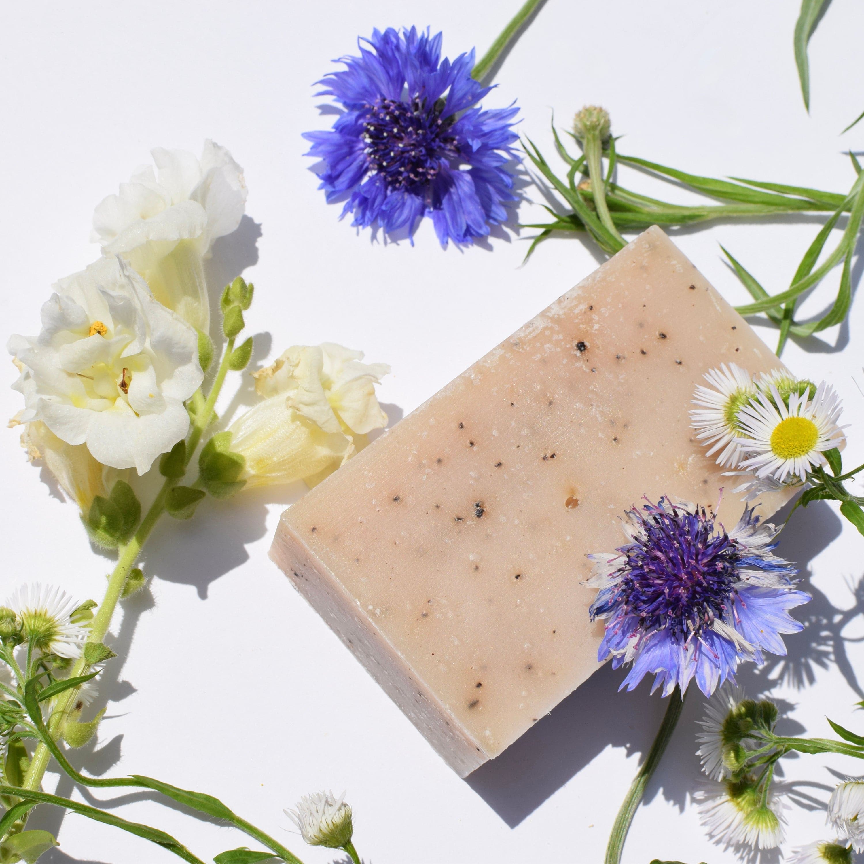 Exfoliating Apricot Kernel and Coffee Soap *Limited Edition*: FAREWELL SALE!