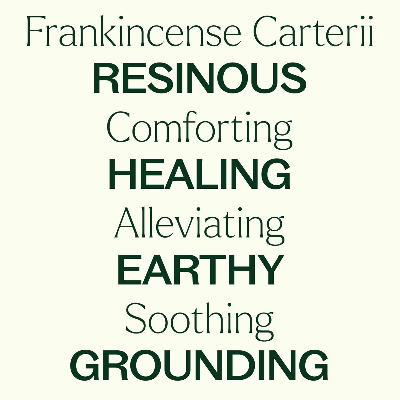 Frankincense Carterii Essential Oil