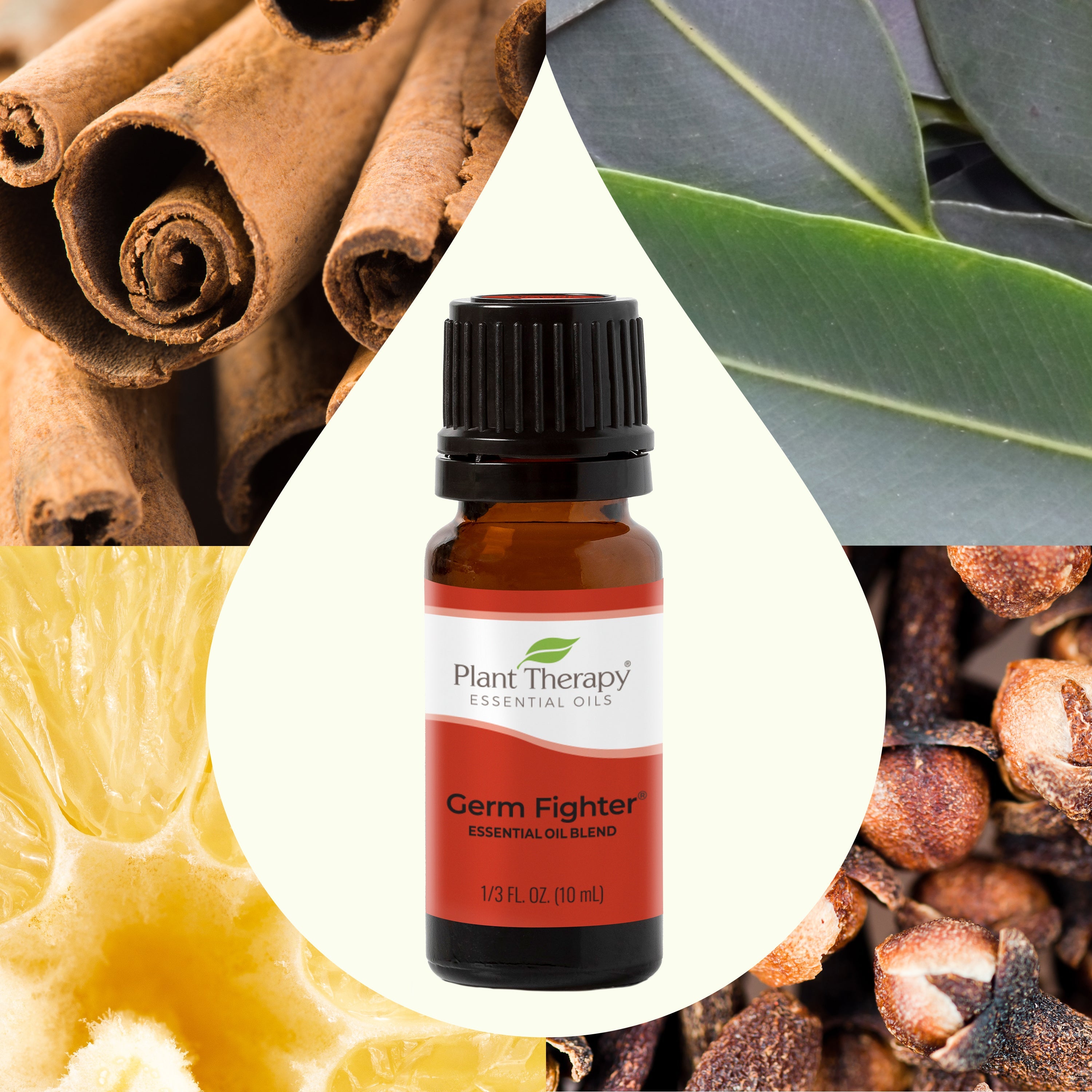 Germ Fighter Essential Oil Blend