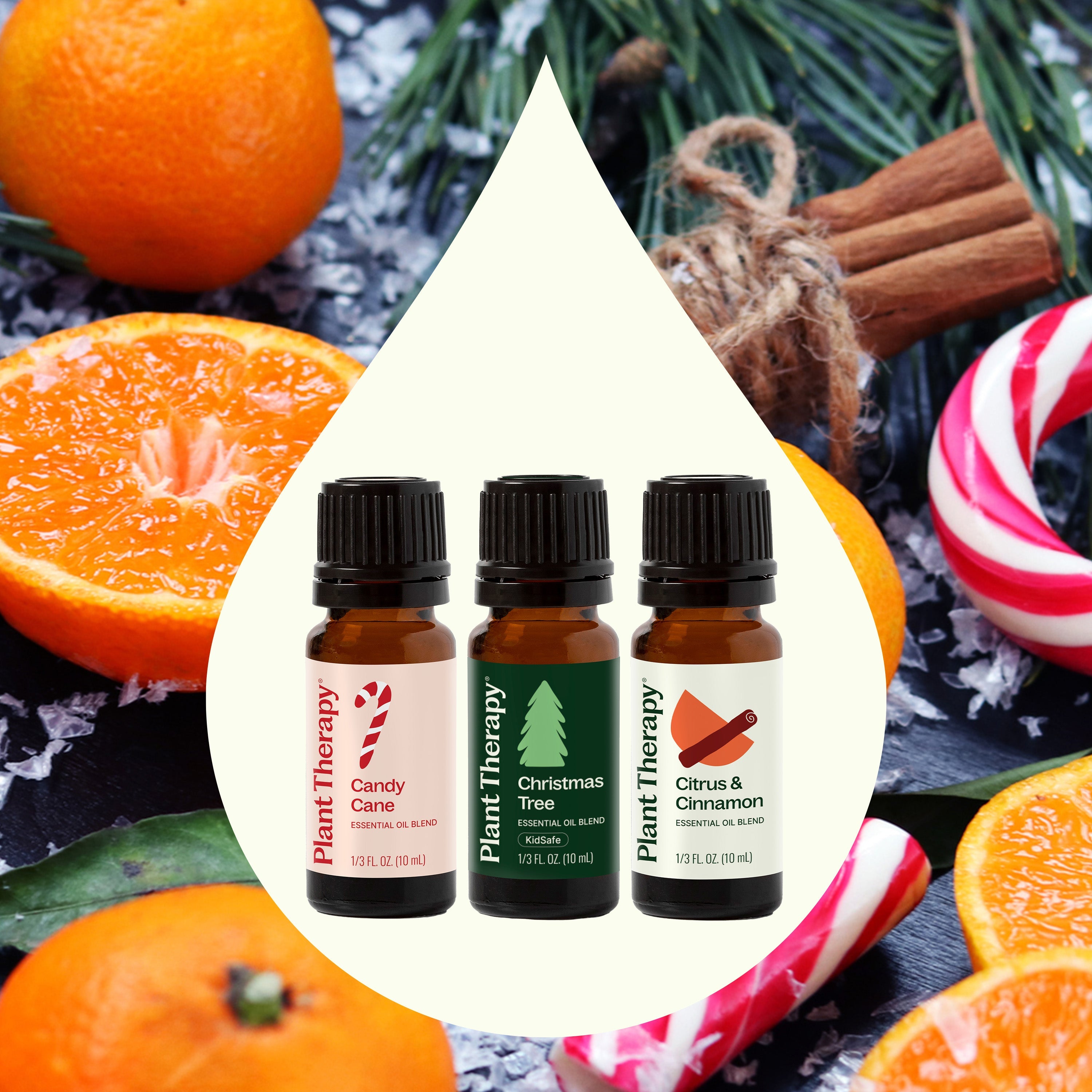 Holiday Delights Essential Oil Blend Set