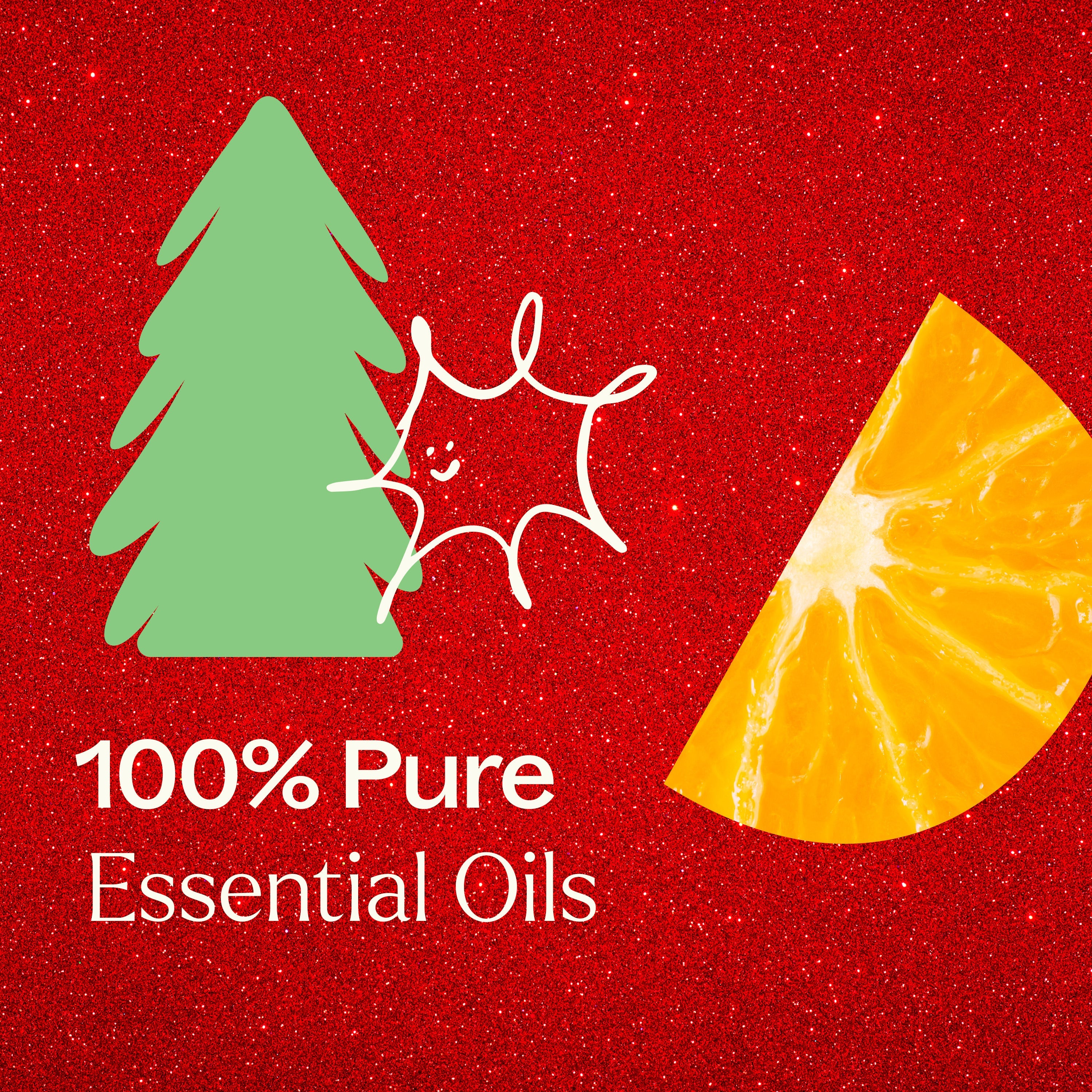 Holiday Delights Essential Oil Blend Set