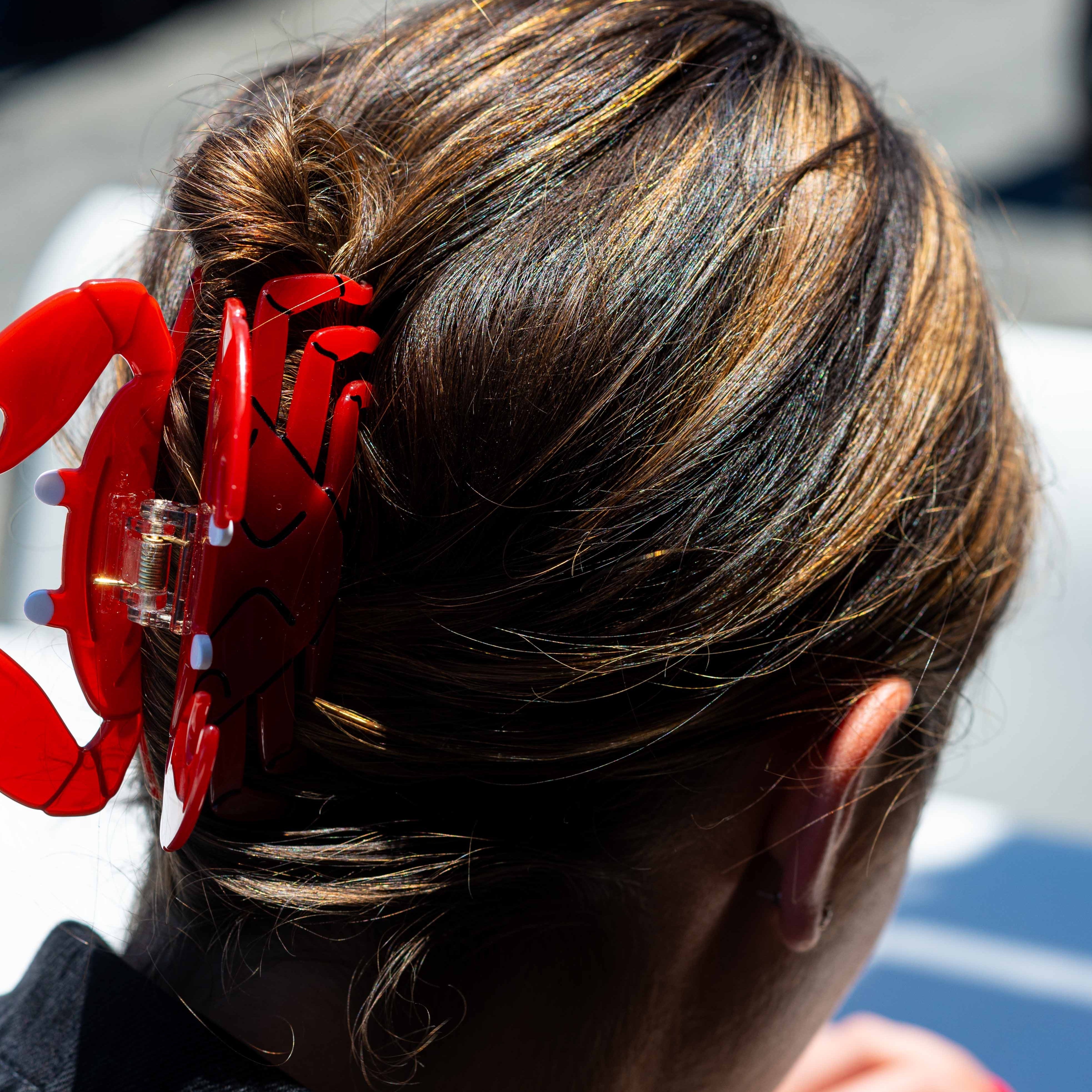 Large Crab Hair Claw Clip