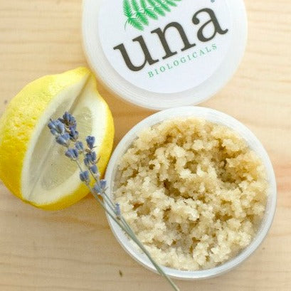 Lemongrass Lavender Sugar Scrub | Natural Sugar Scrub | Una Biologicals