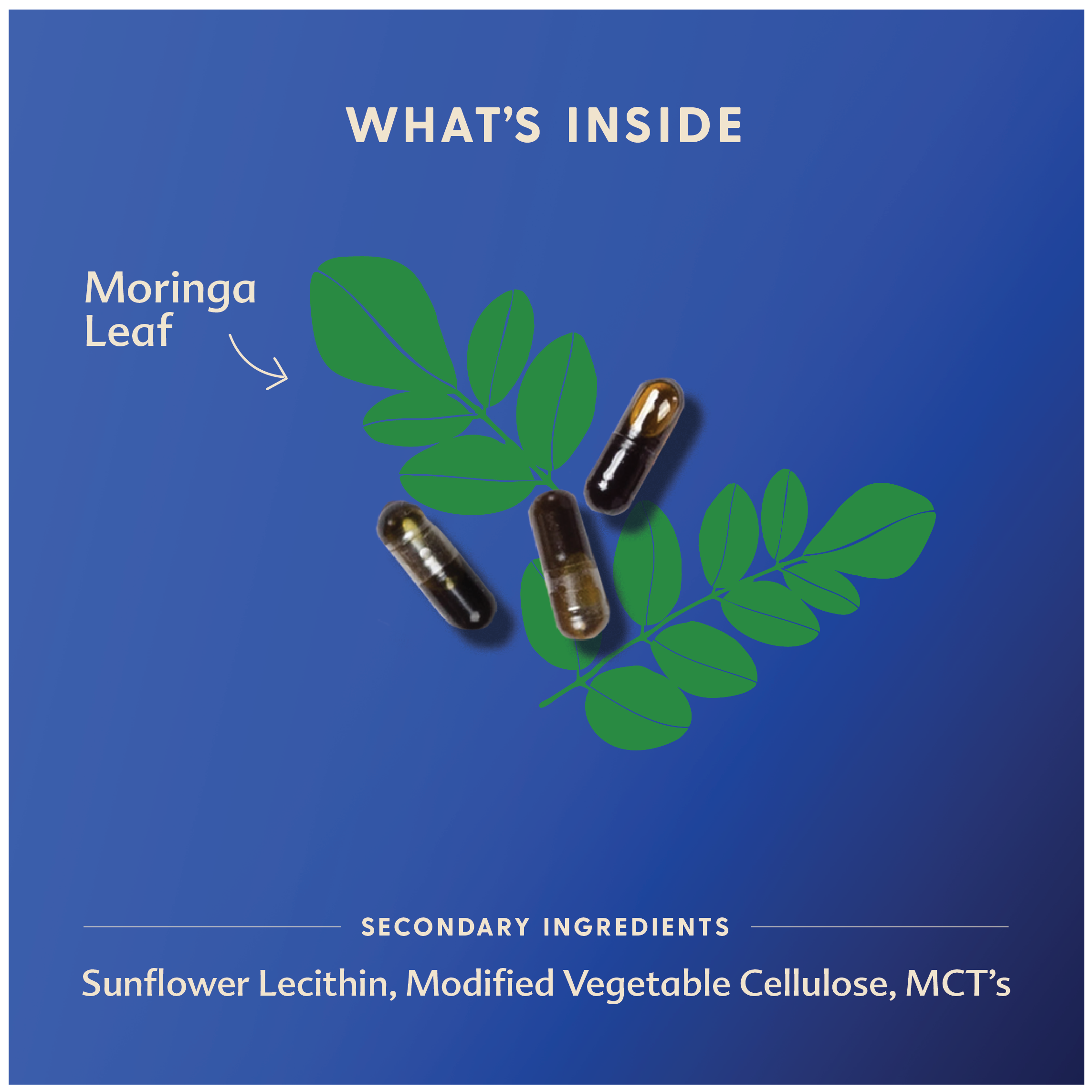 Moringa (Malunggay) - Liquid Capsules