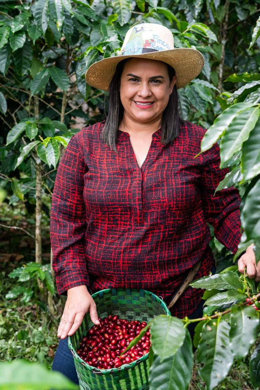 Honduran Parainema Coffee