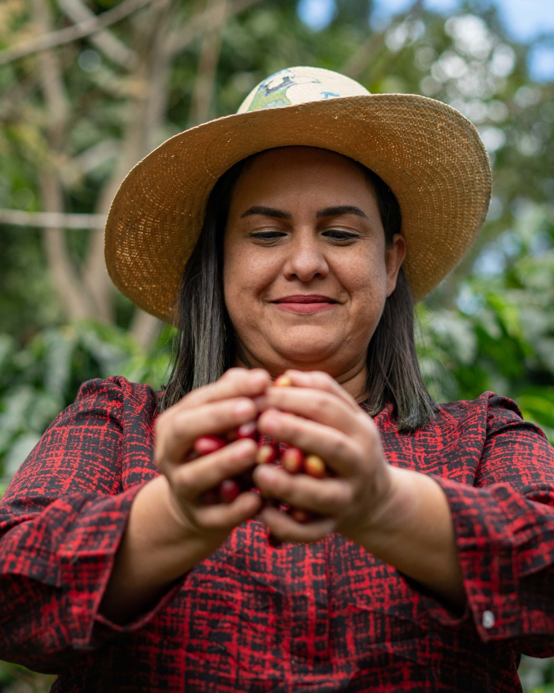 Honduran Parainema Coffee