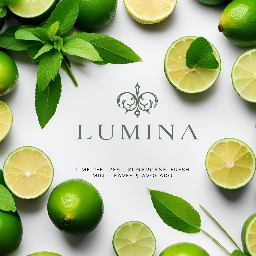 Lumina (15 oz Doppeldocht) – Noten: Limettenschale, Zuckerrohr, Avocado und Minzblätter