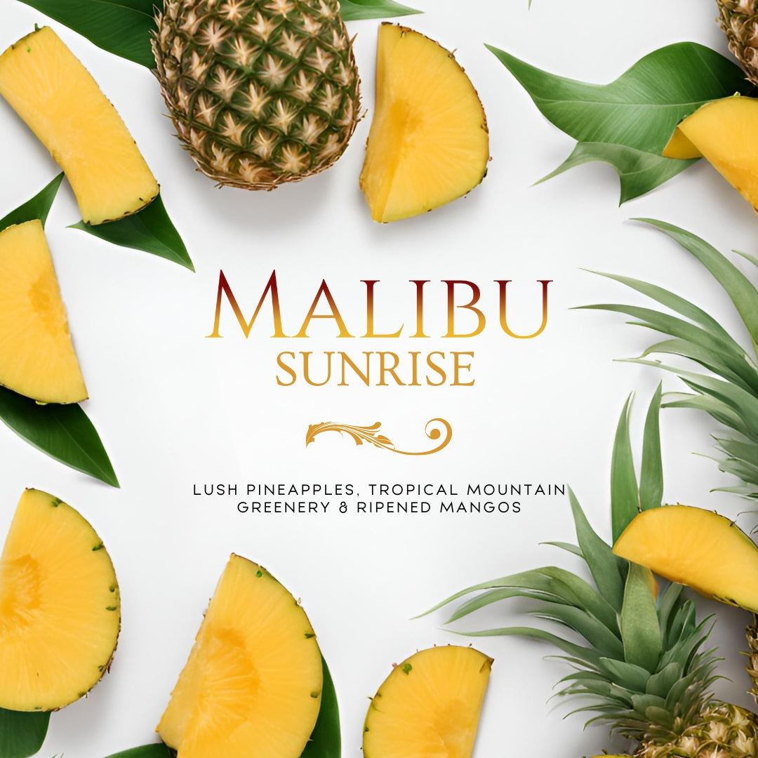 Malibu Sunrise (mecha única de 7,5 oz): notas: piñas exuberantes, vegetación tropical de montaña, mango maduro