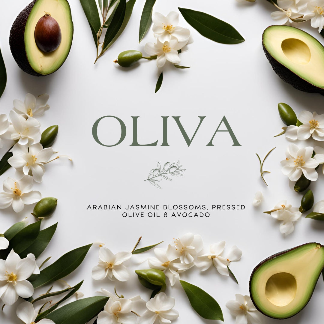 Oliva (15 oz Doppeldocht) – Noten: Arabische Jasminblüten, gepresstes Olivenöl und Avocado