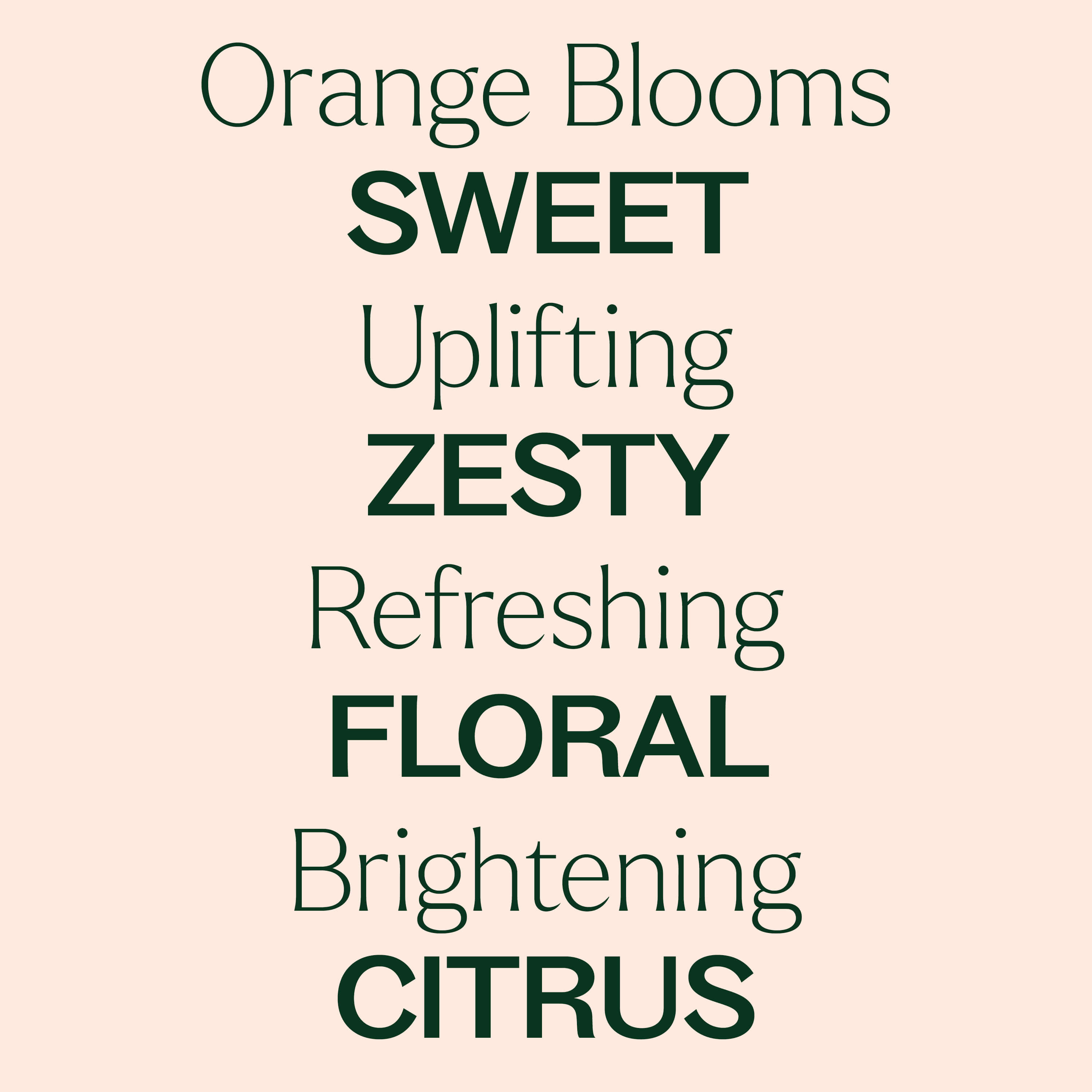 Orange Blooms Essential Oil Blend