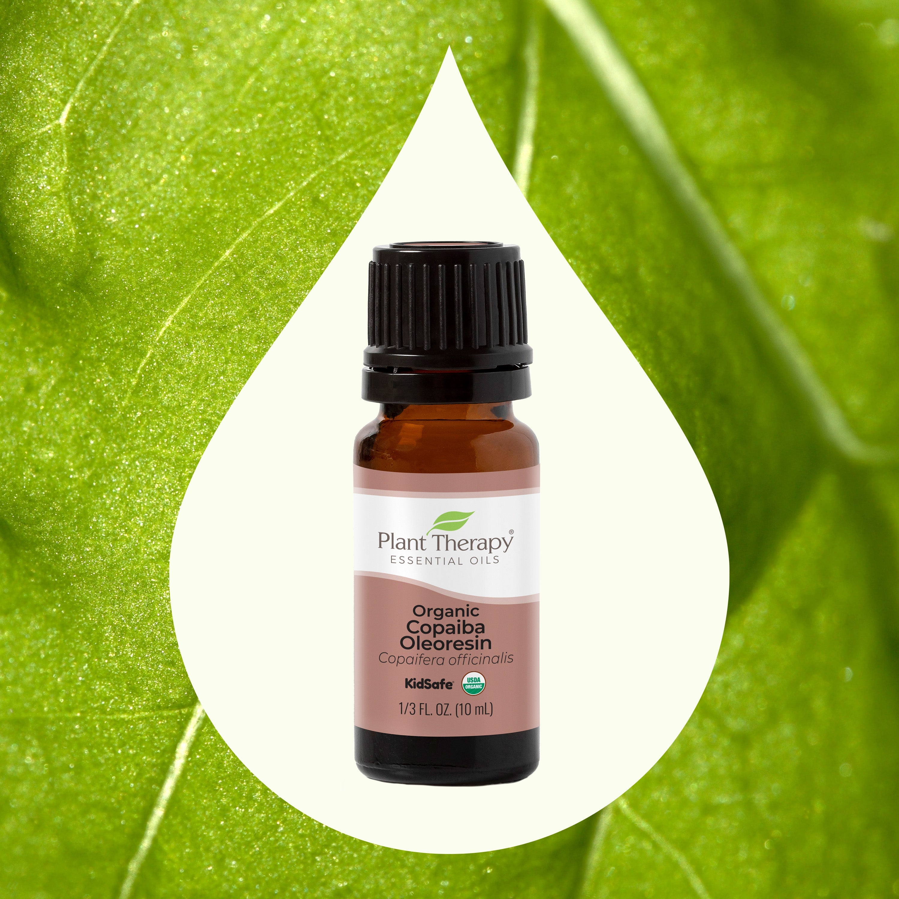 Organisches Copaiba-Oleoresin