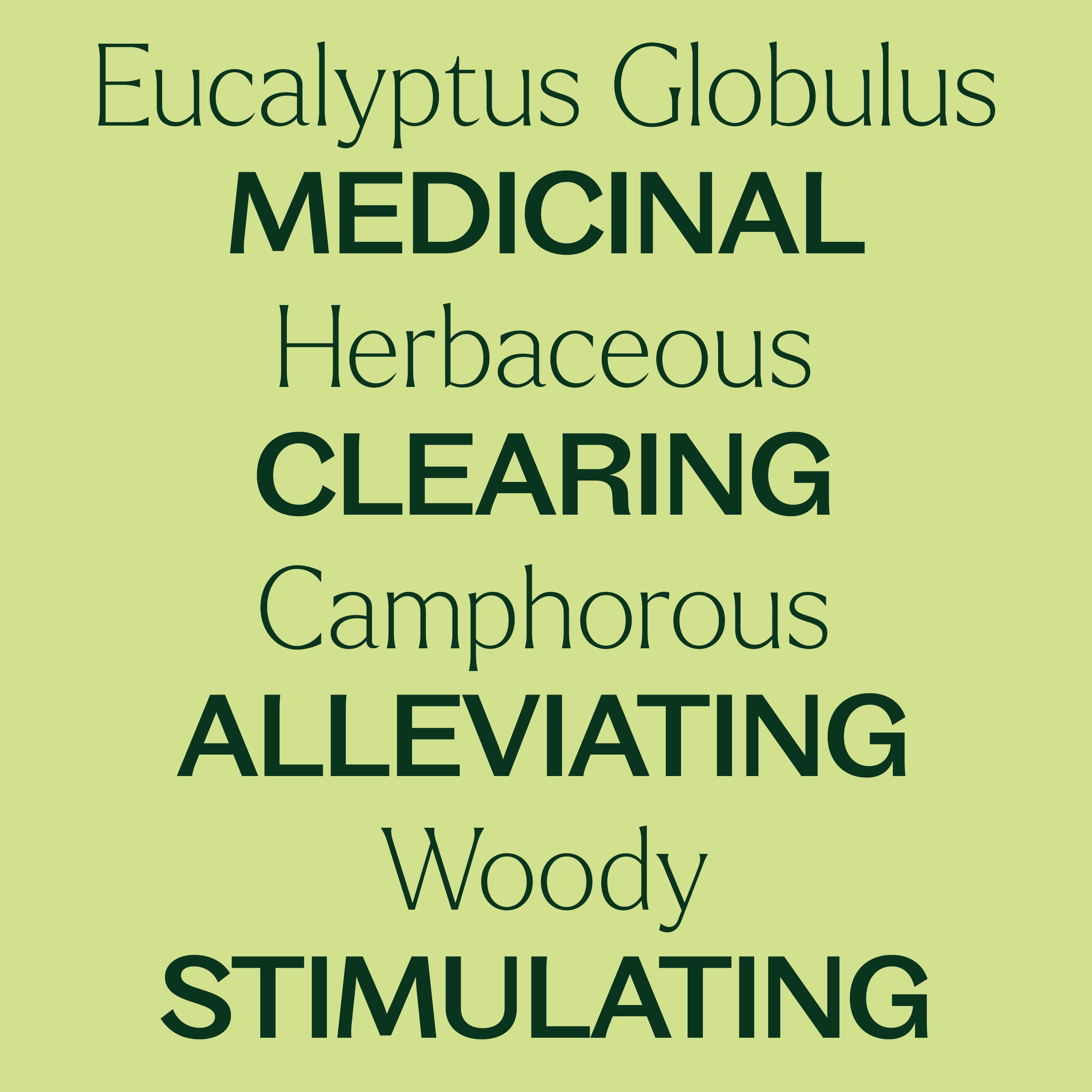 Organic Eucalyptus Globulus Essential Oil