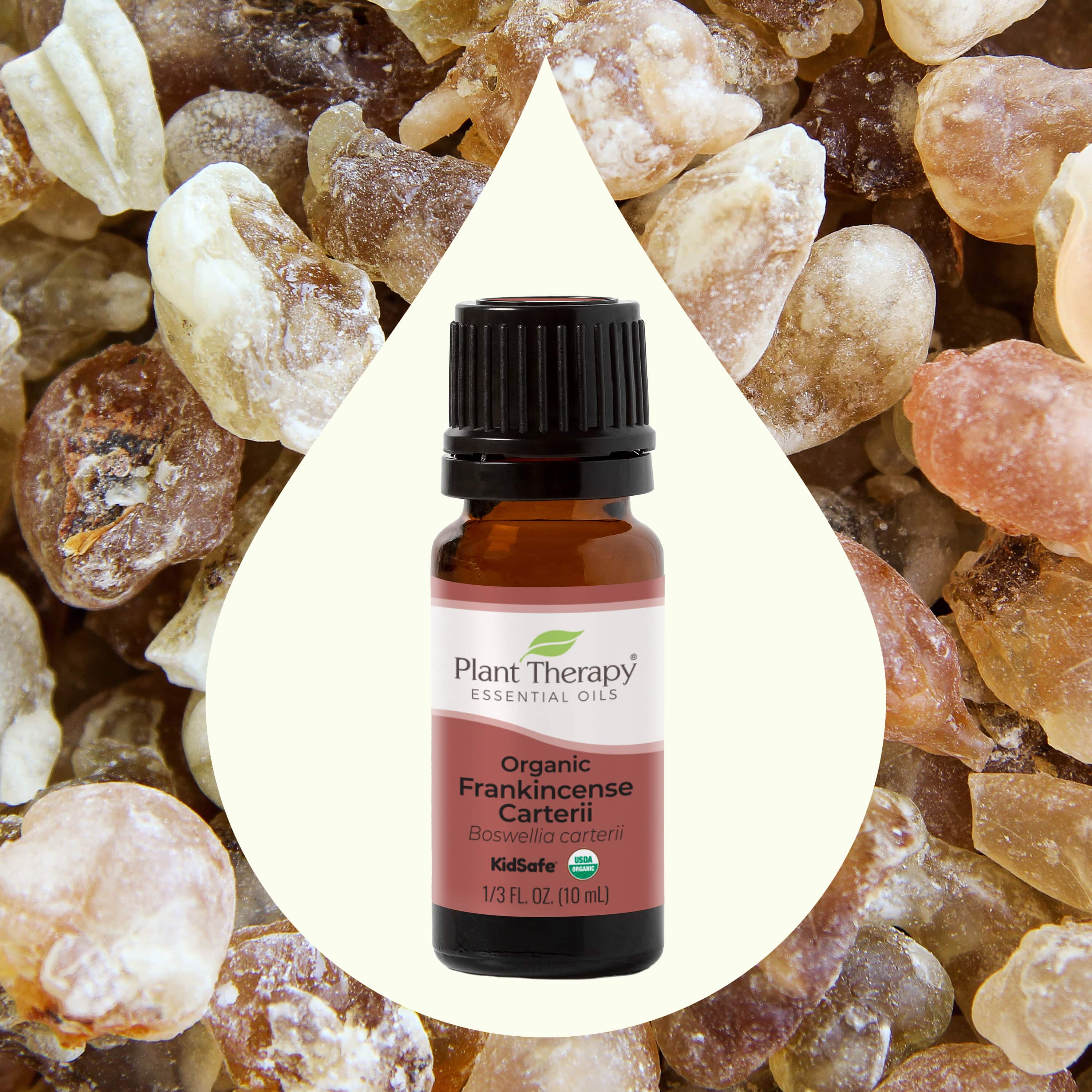 Organic Frankincense Carterii Essential Oil