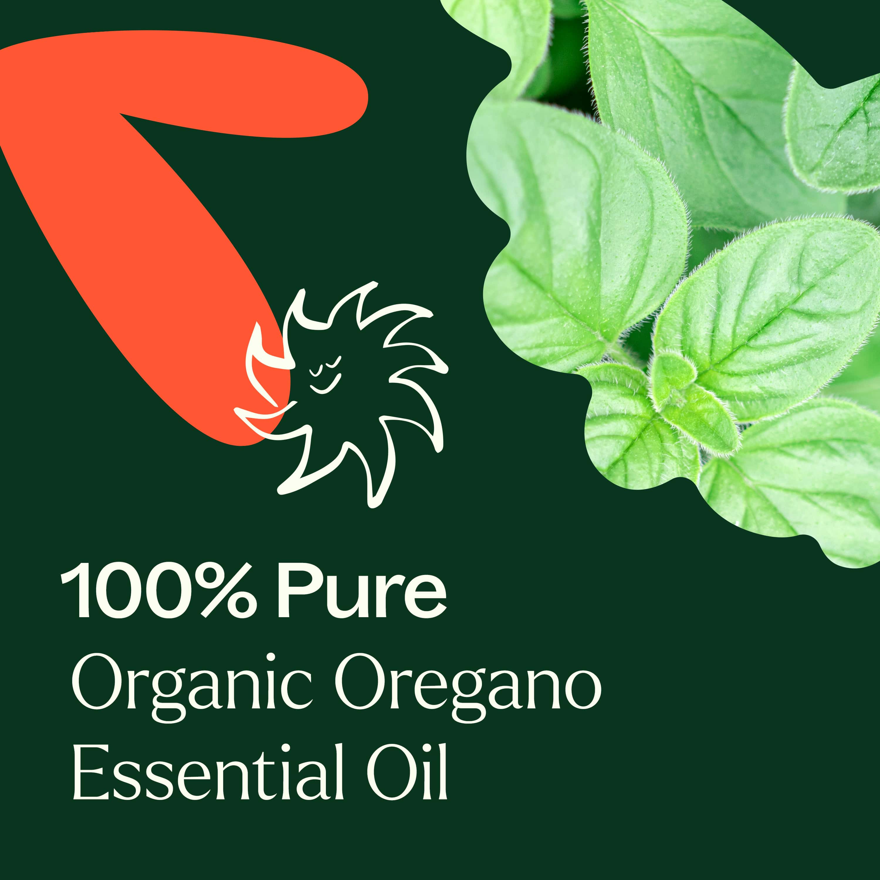 Aceite esencial de orégano orgánico