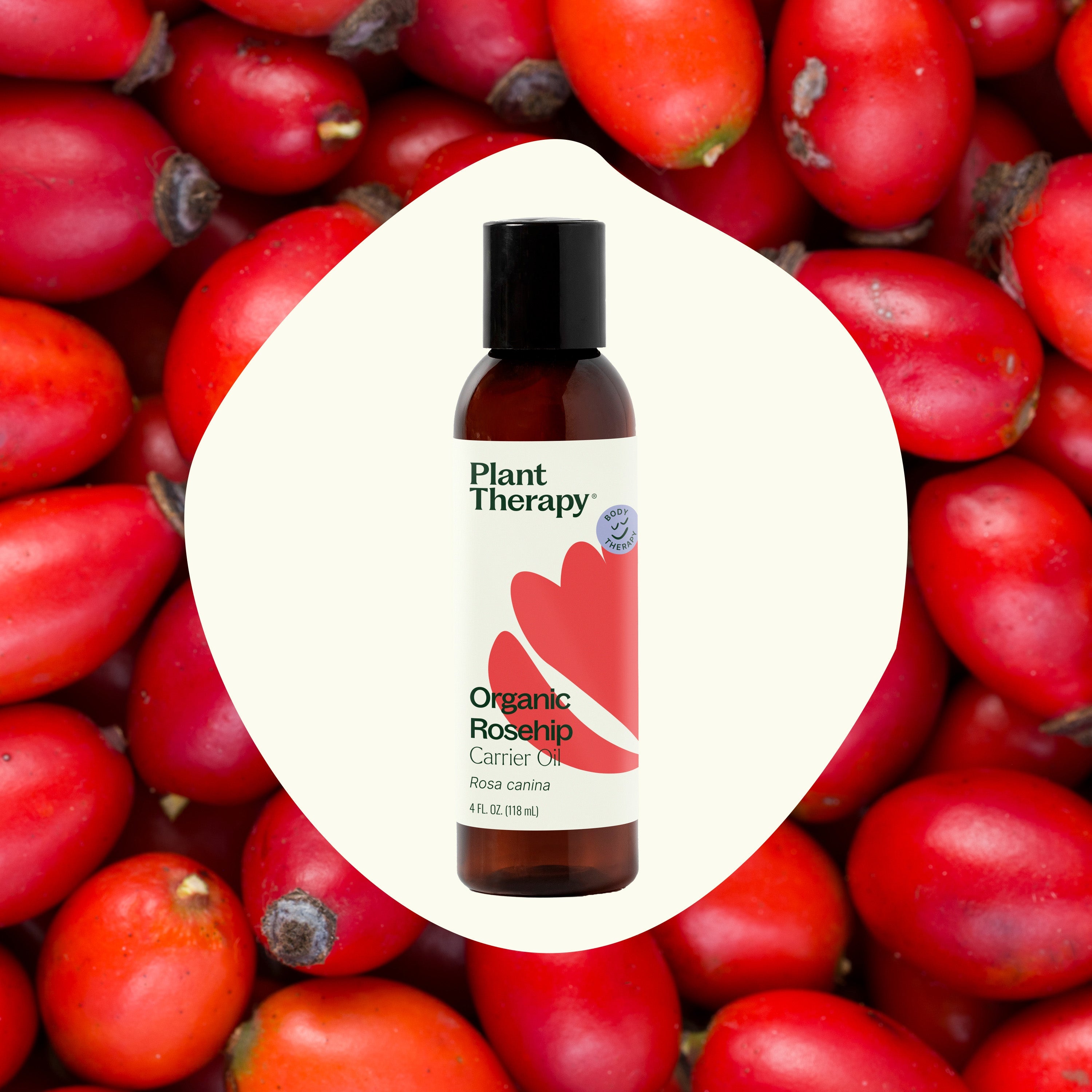 Organic Rosehip Carrier Oil Extra Virgin