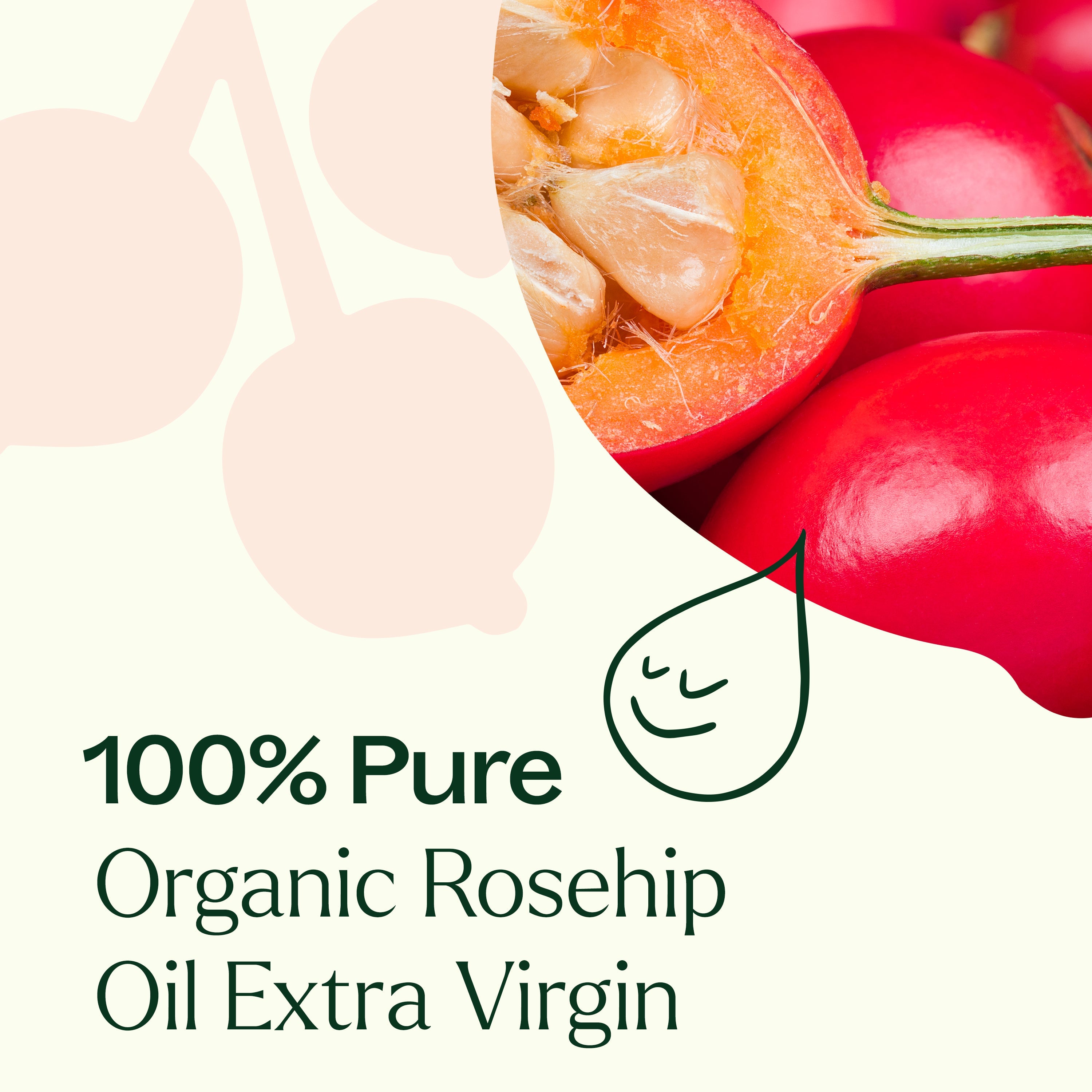 Organic Rosehip Carrier Oil Extra Virgin