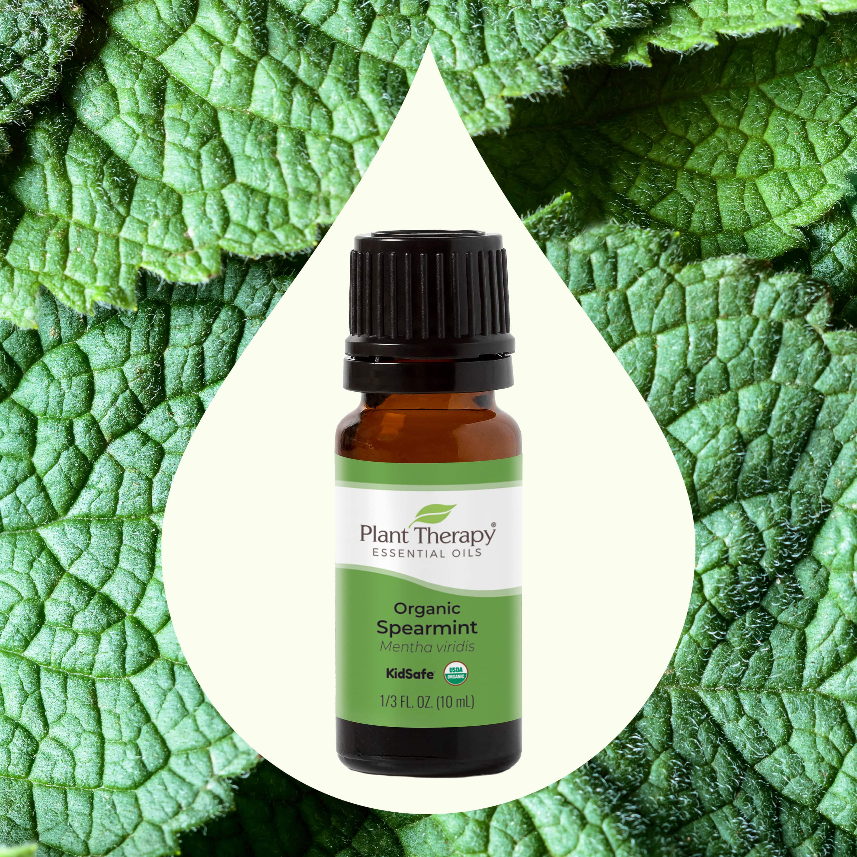 Organic Spearmint Essential Oil