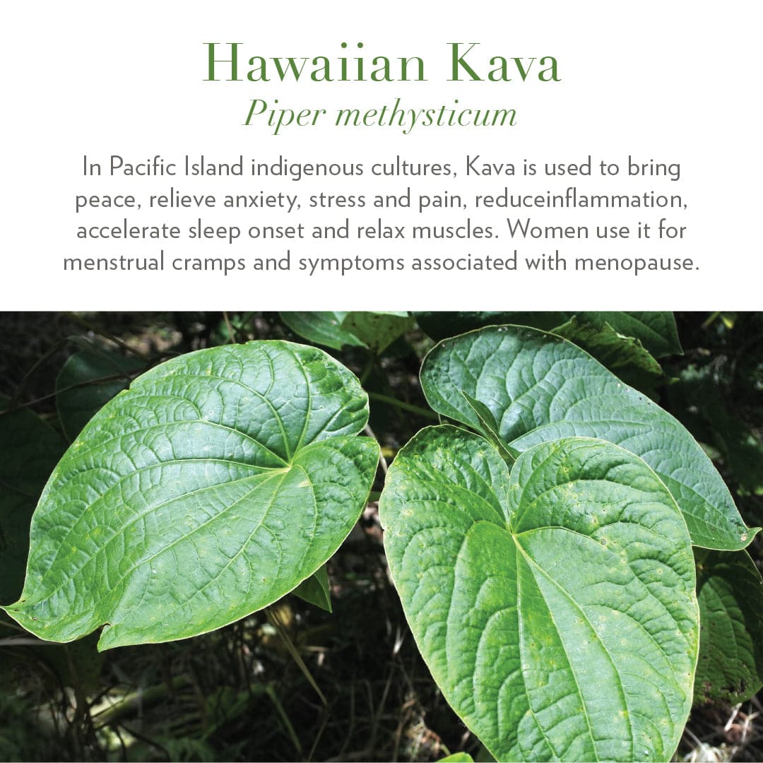 Ease: Hawaiian Kava Gummies