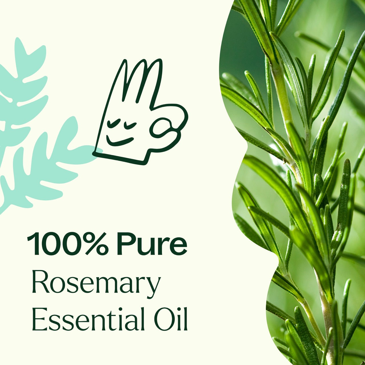 Rosemary 1,8-Cineole Essential Oil