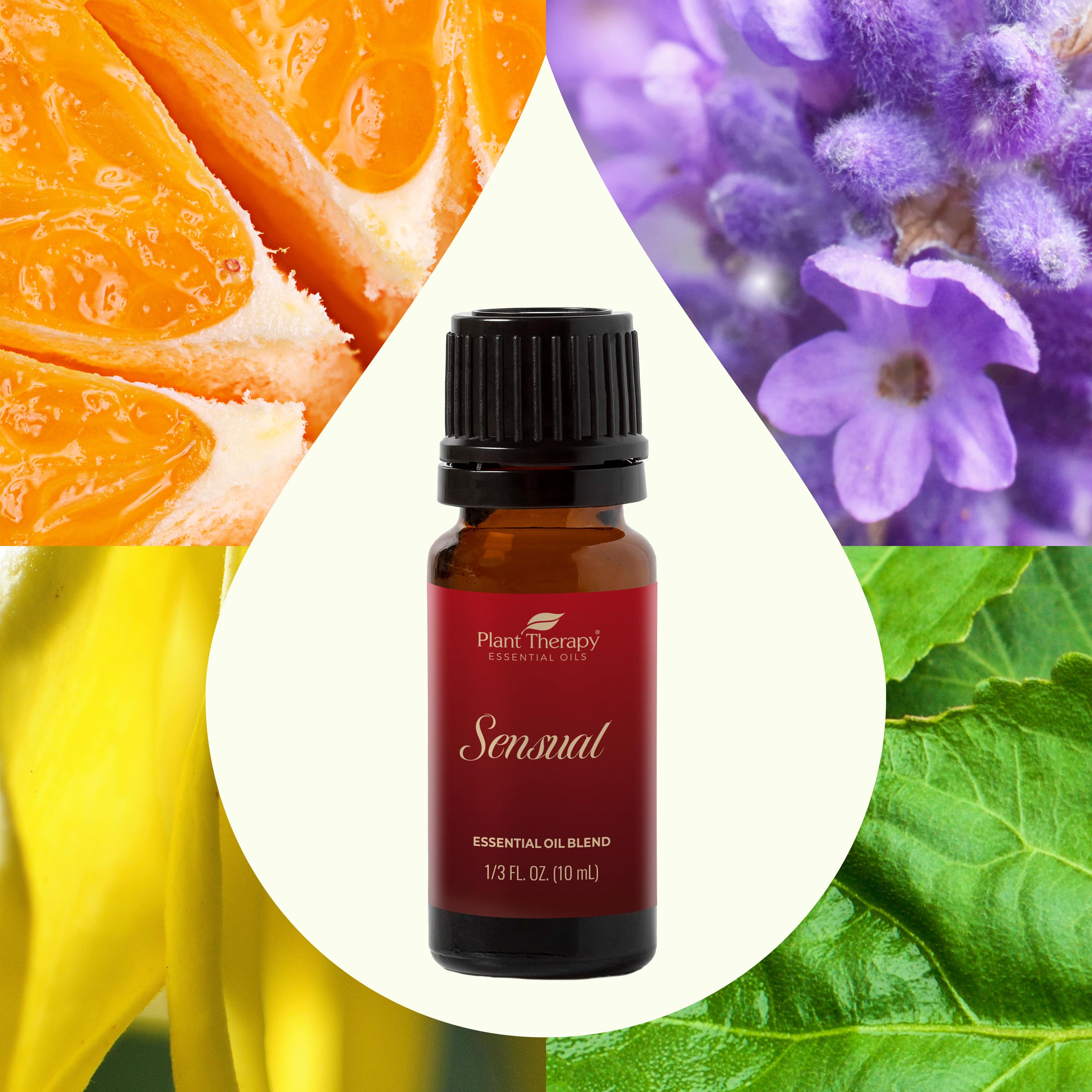 Sensual Essential Oil Blend