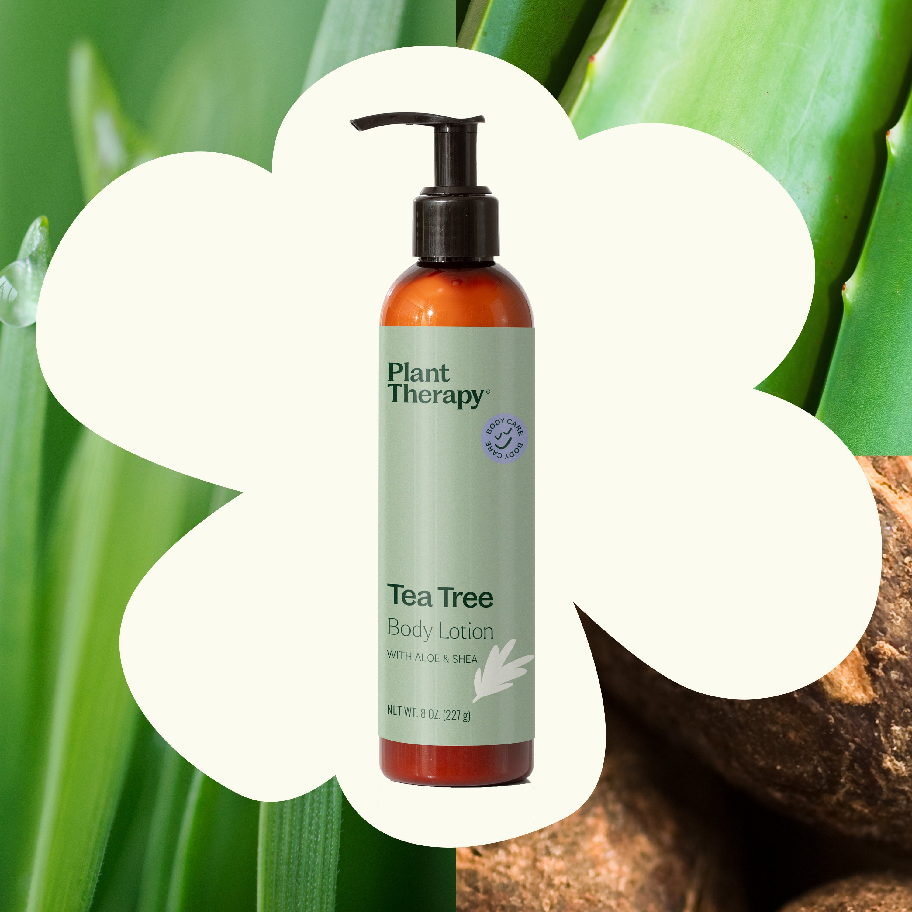 Teebaum-Körperlotion mit Aloe und Shea