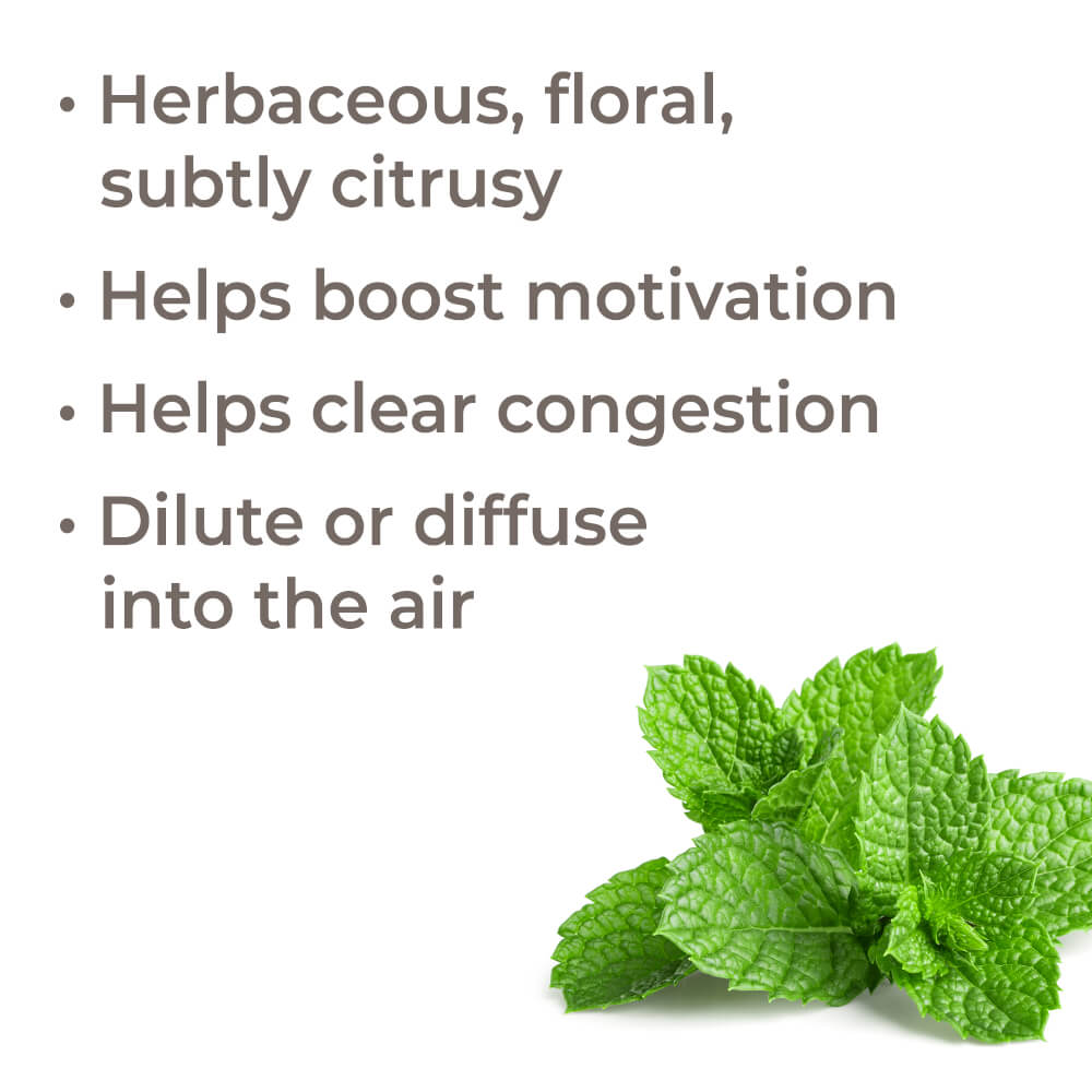 Bergamot Mint Essential Oil