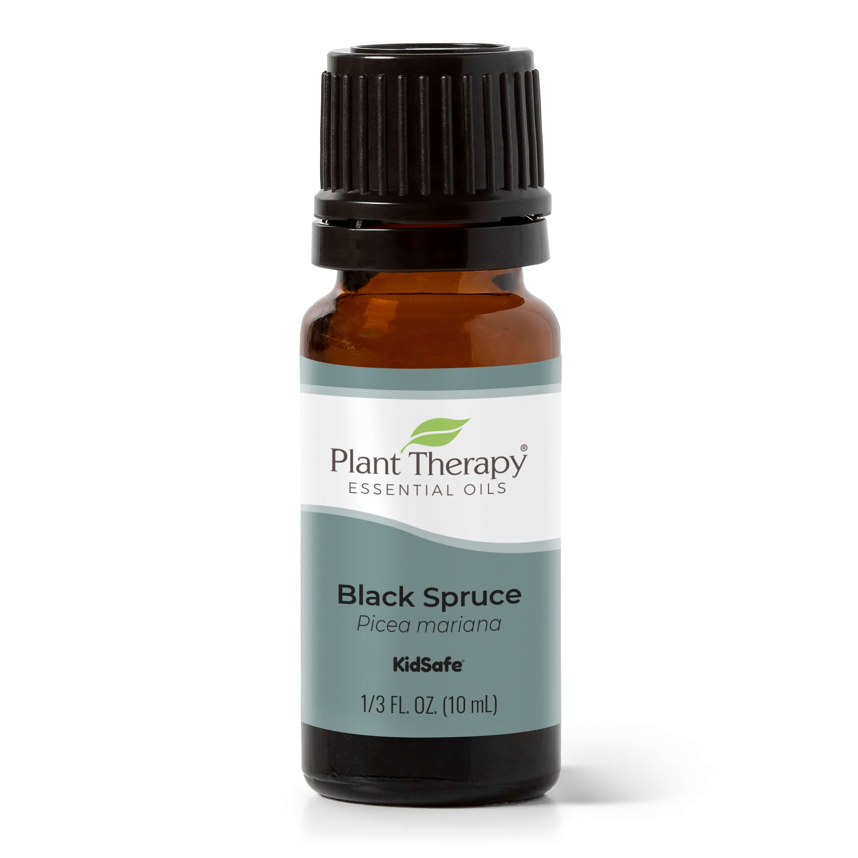 Black Spruce Essential Oil