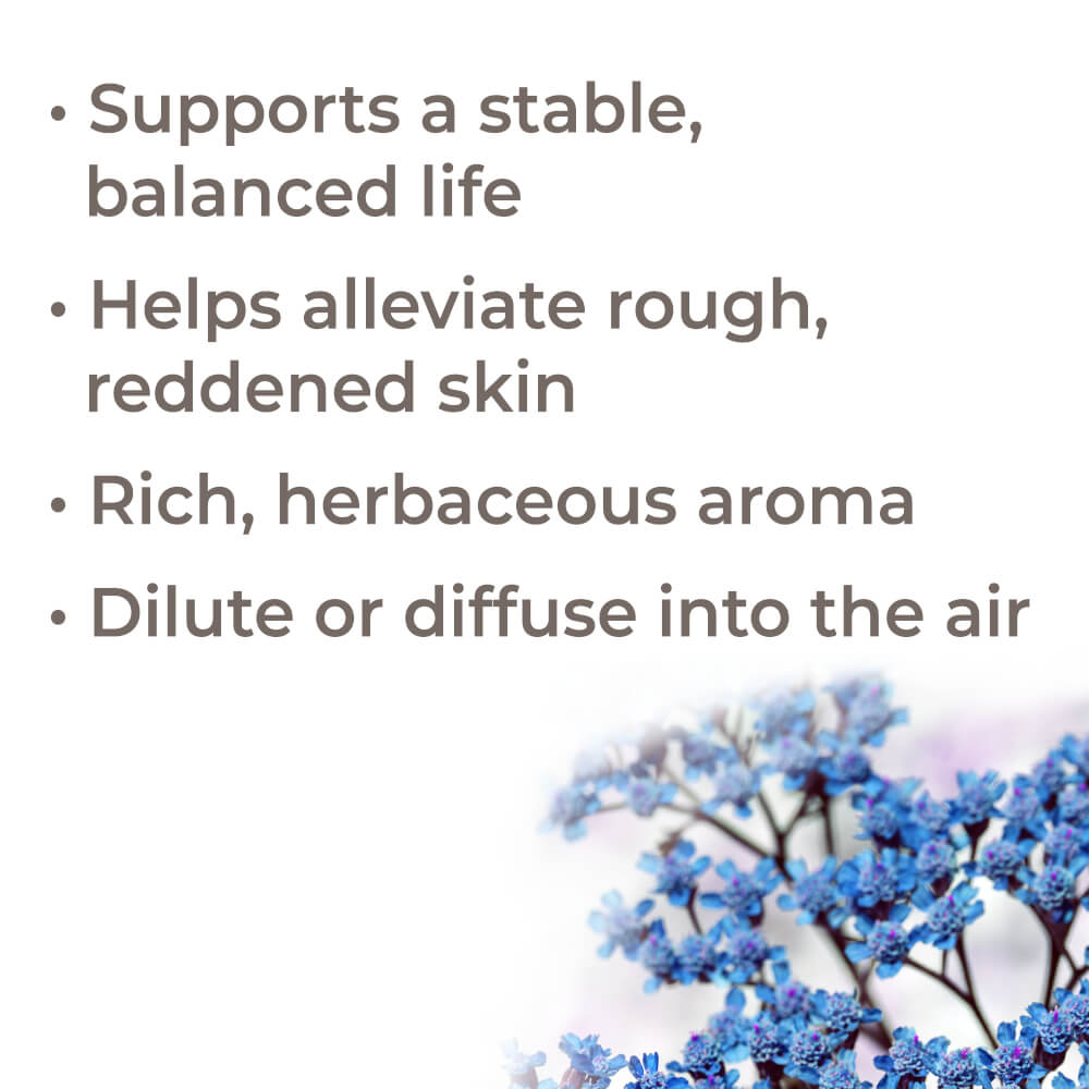 Organic Blue Yarrow Essential Oil