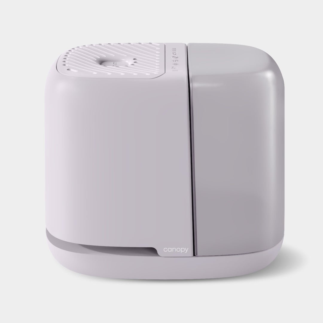 CanopyBedside Humidifier 2.0 - M.S Skincare