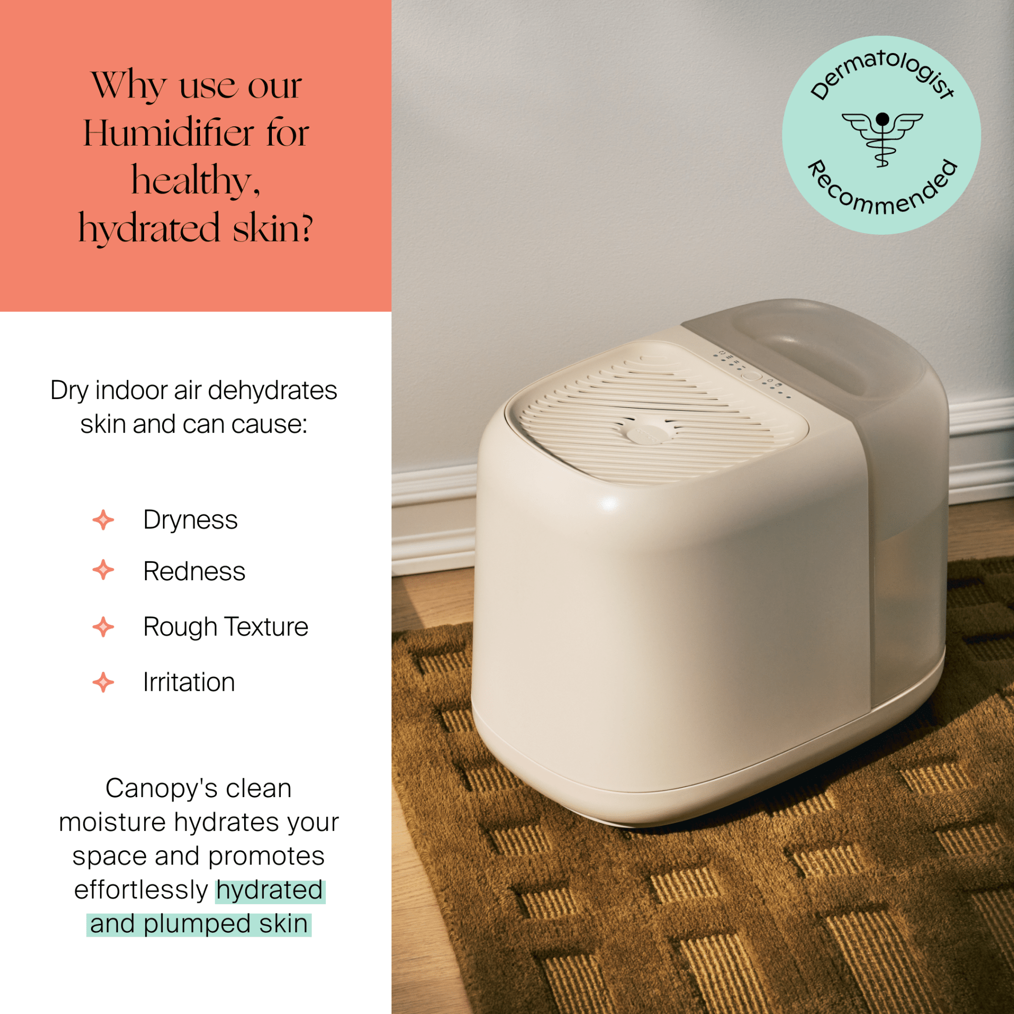 CanopyLarge Room Humidifier - M.S Skincare