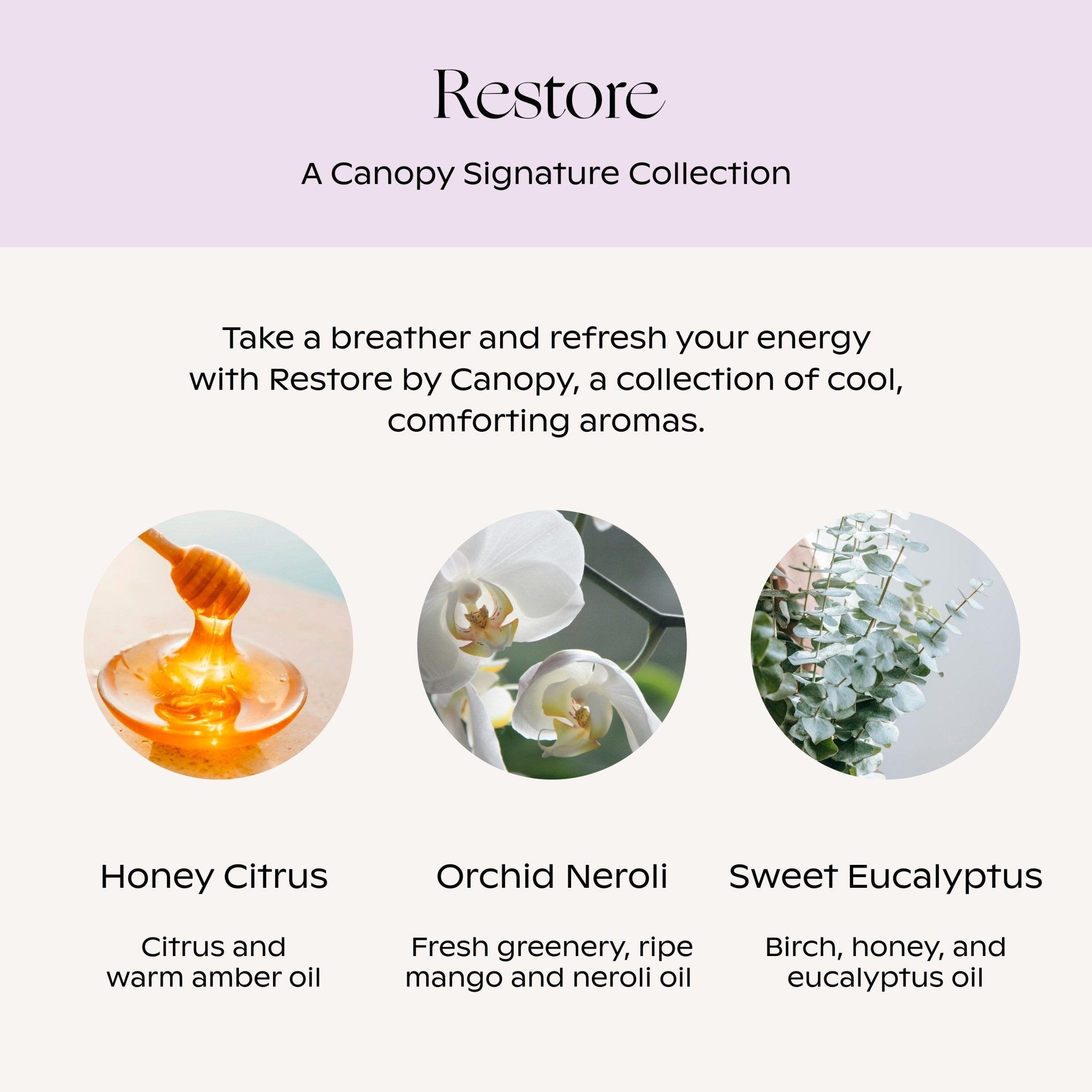 CanopyRestore Aroma Kit - M.S Skincare