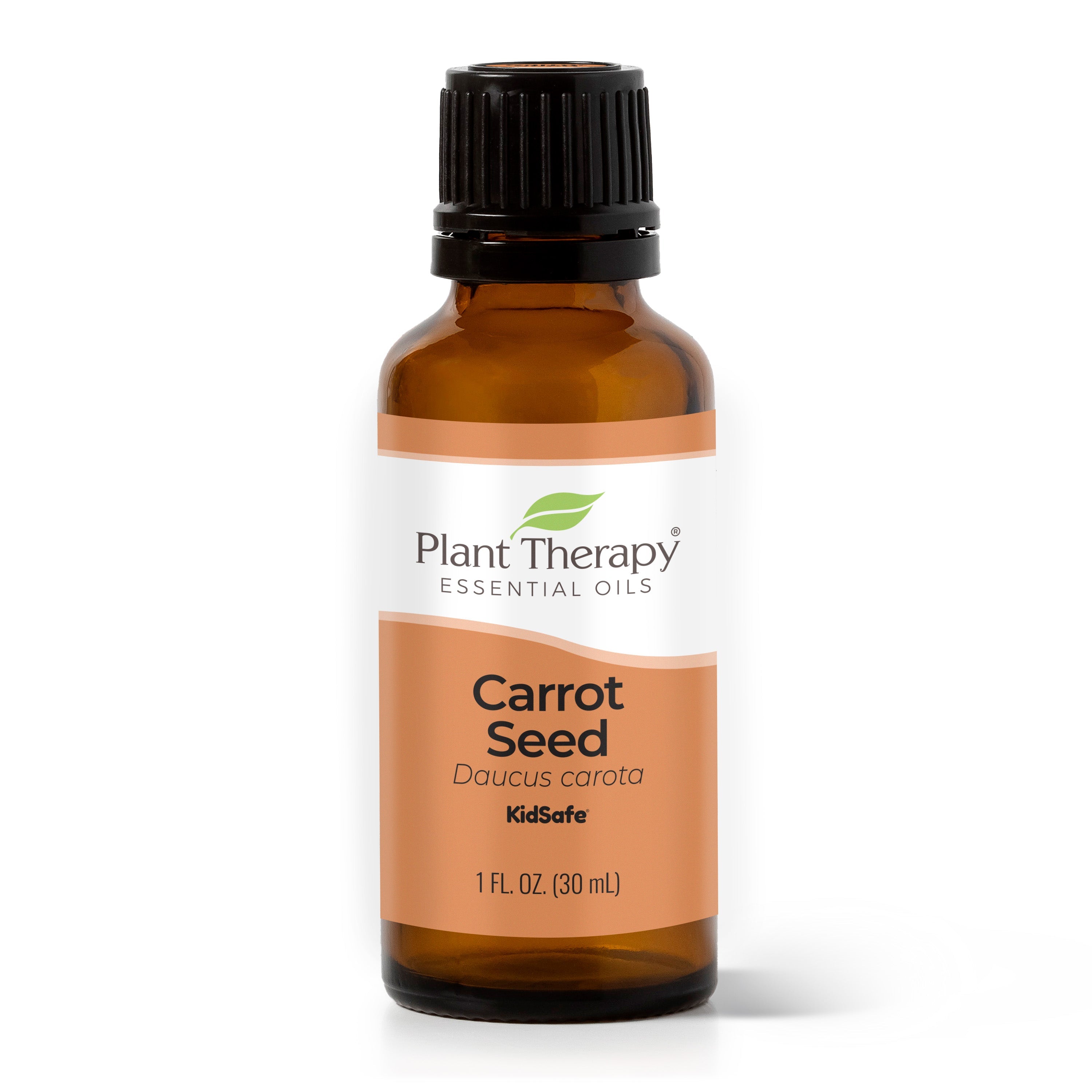 Carrot Seed Essential Oil